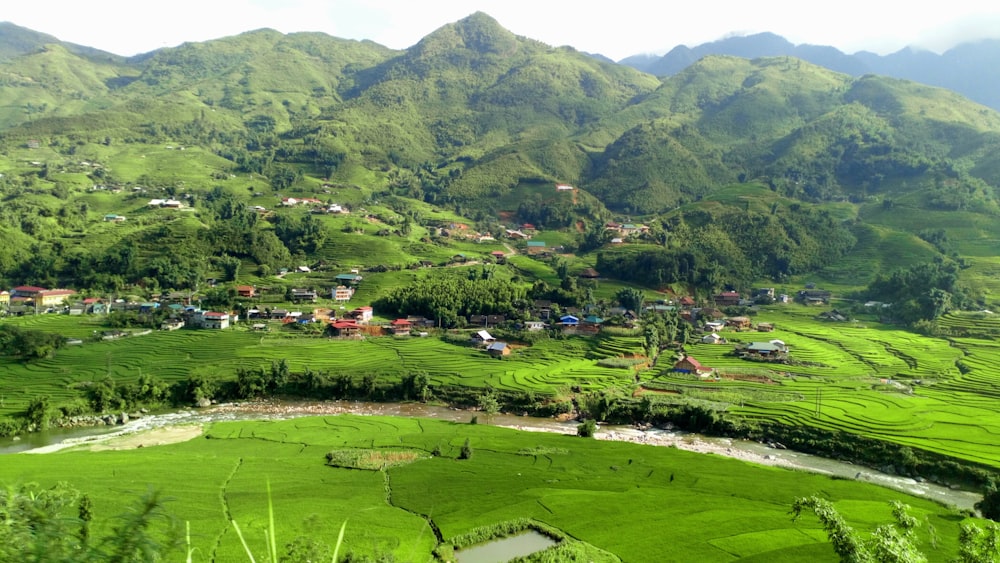 um vale verde com casas e árvores