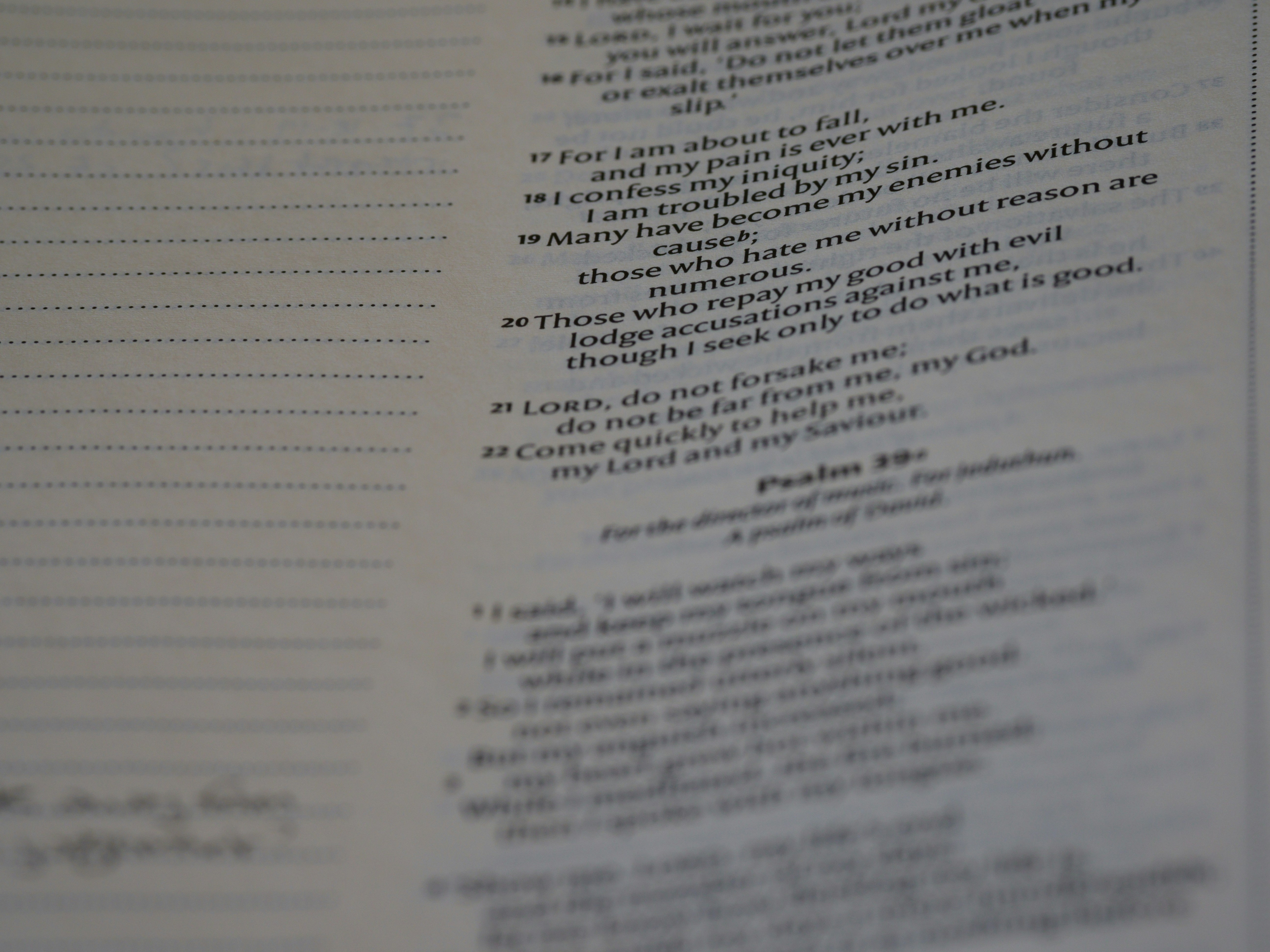 Photo by brett_jordan