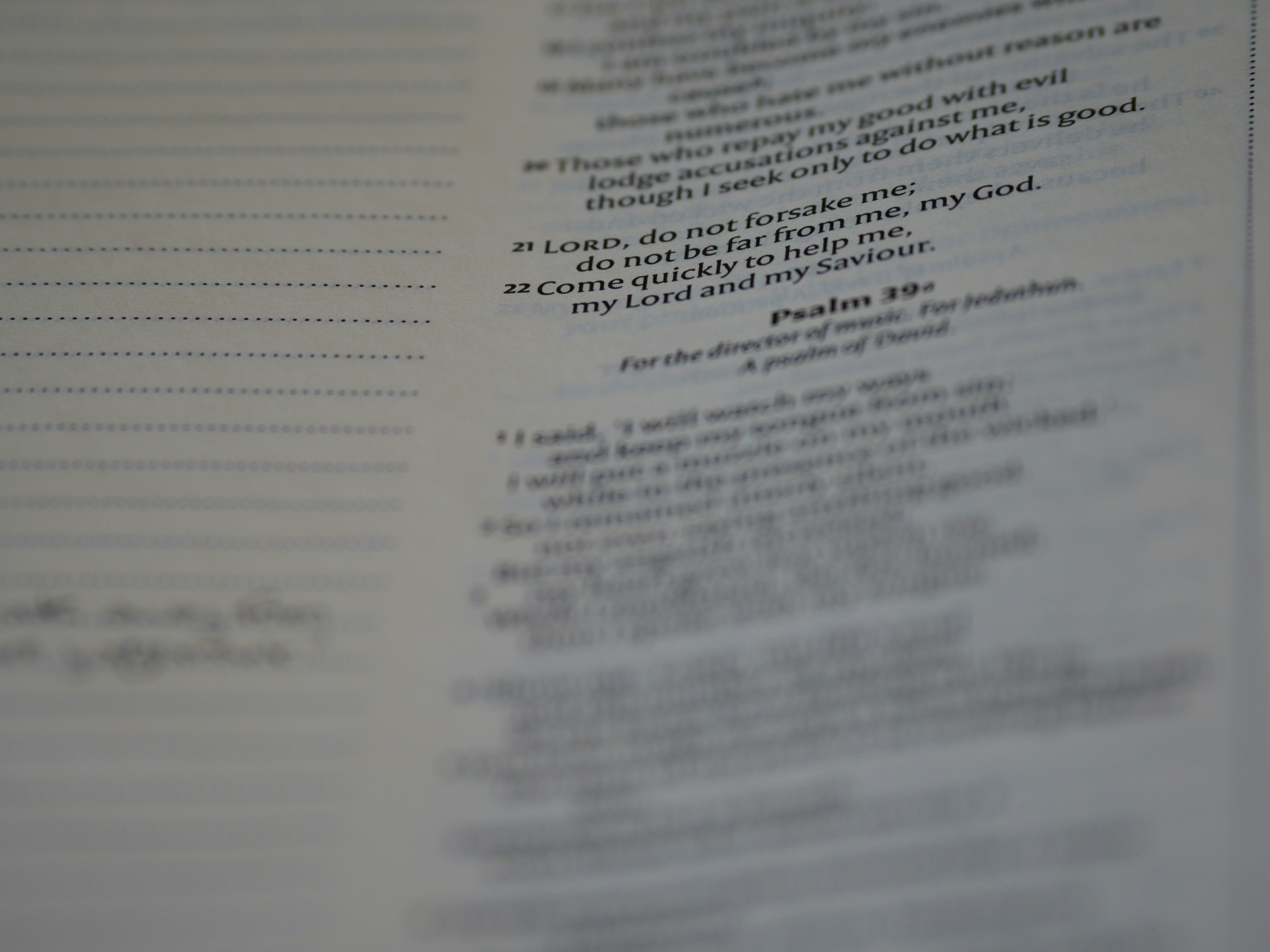 Photo by brett_jordan