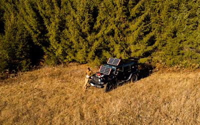 a dog sitting on a truck