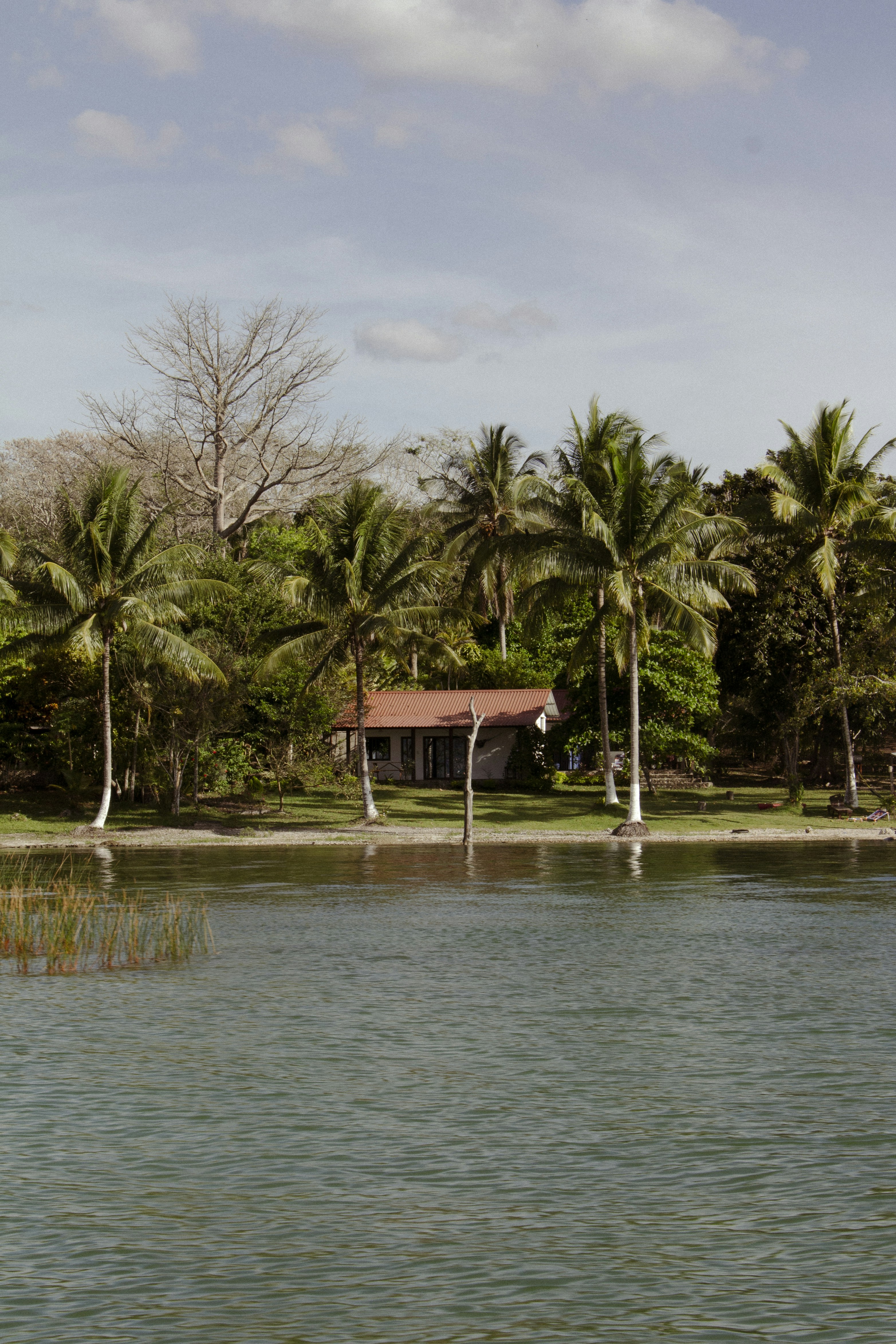 Photo by gabrielaldana