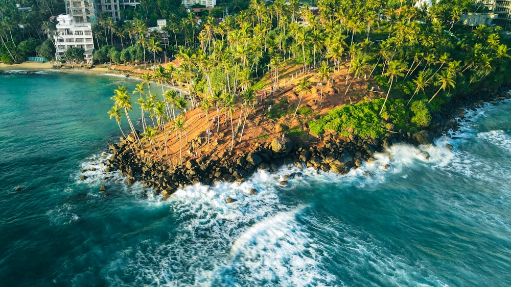 a body of water with trees on the side