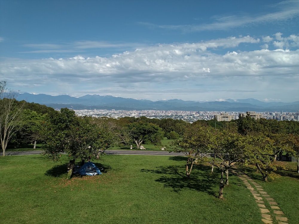 a grassy area with trees and a body of water in the background