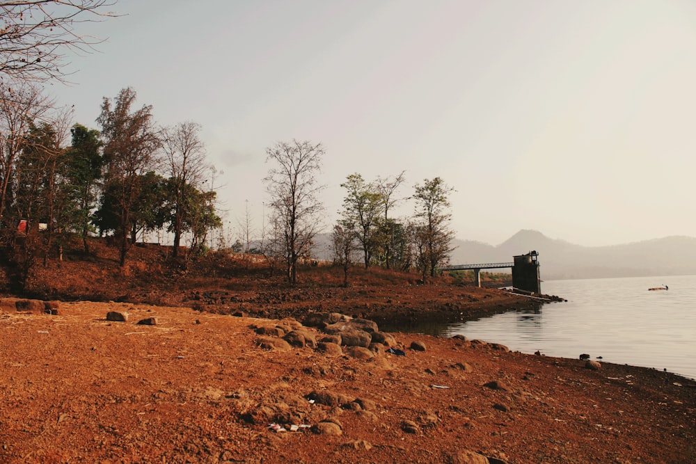 a rocky shore with a body of water and a dock