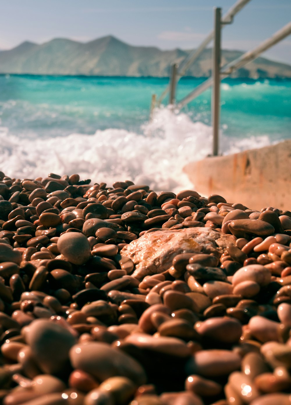 a pile of sea shells