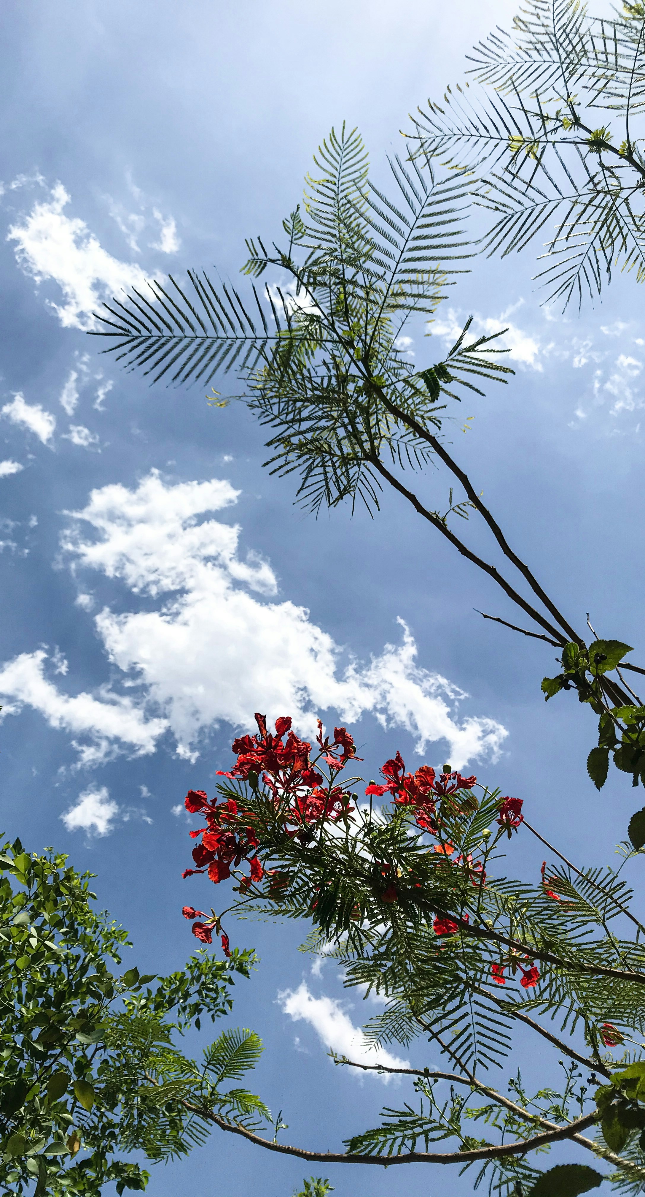 Photo by vpphotographers