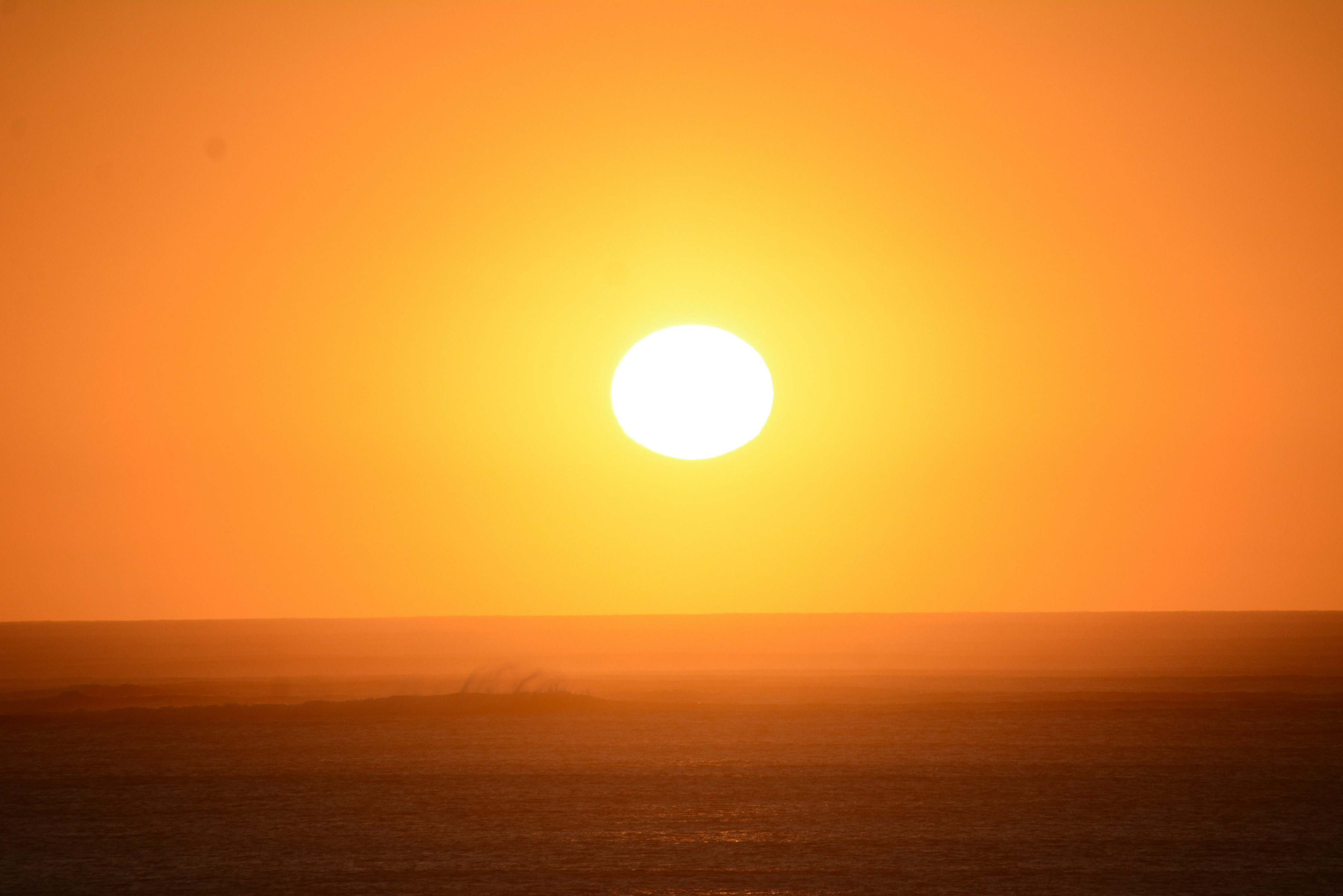 Photo by richard7seals