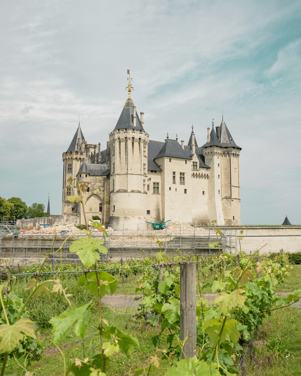 a castle with Muiderslot and plants