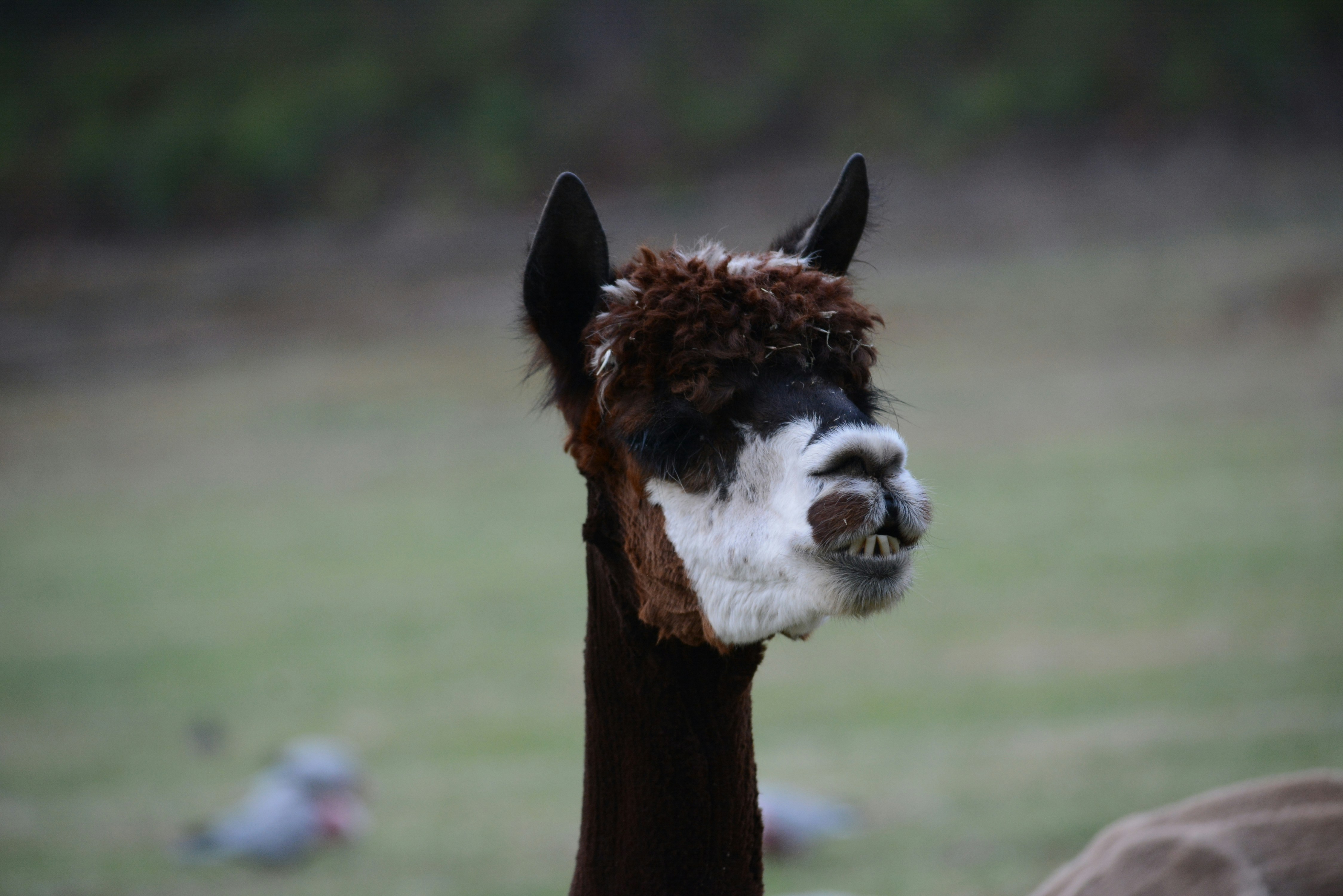 Photo by richard7seals