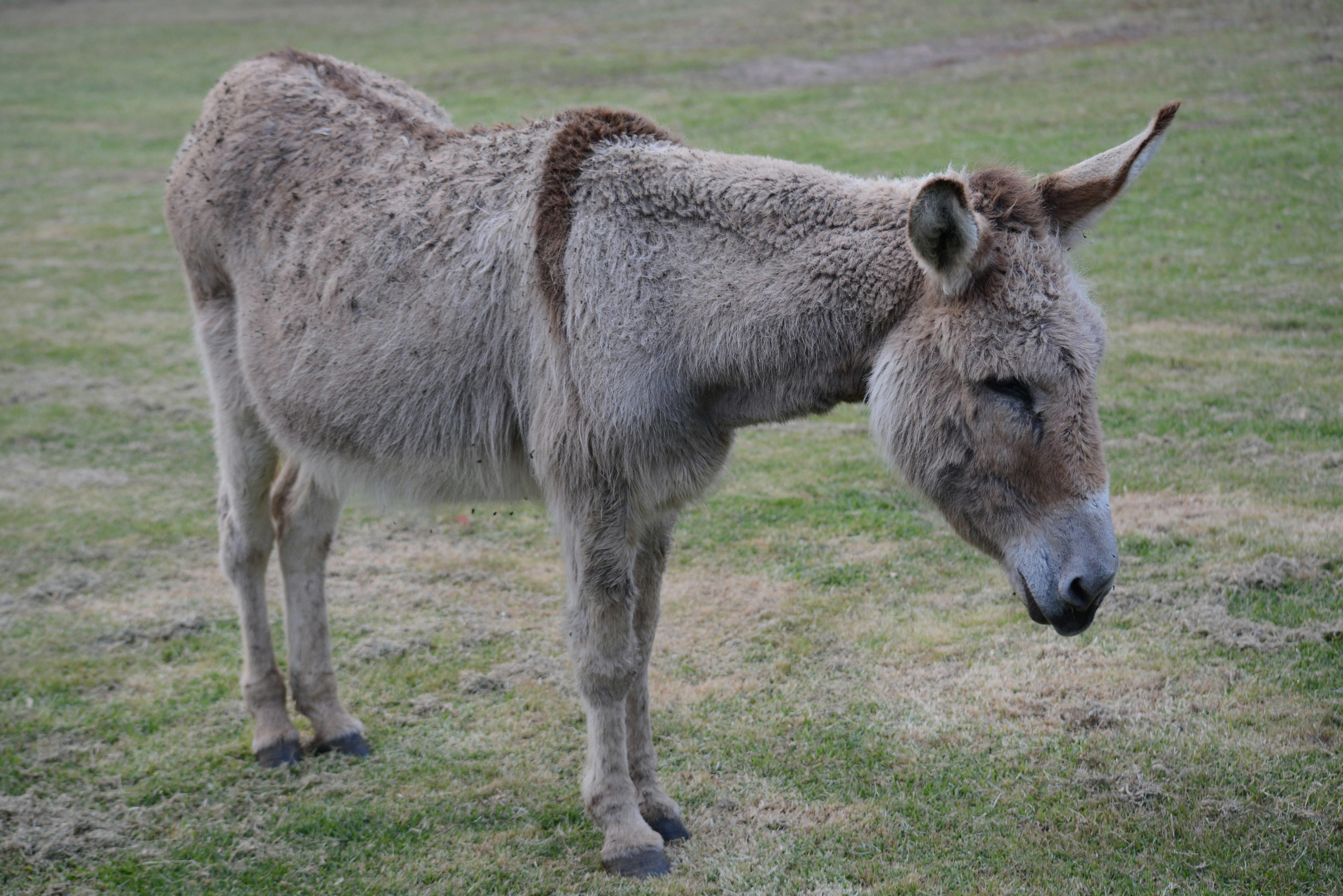 Photo by richard7seals