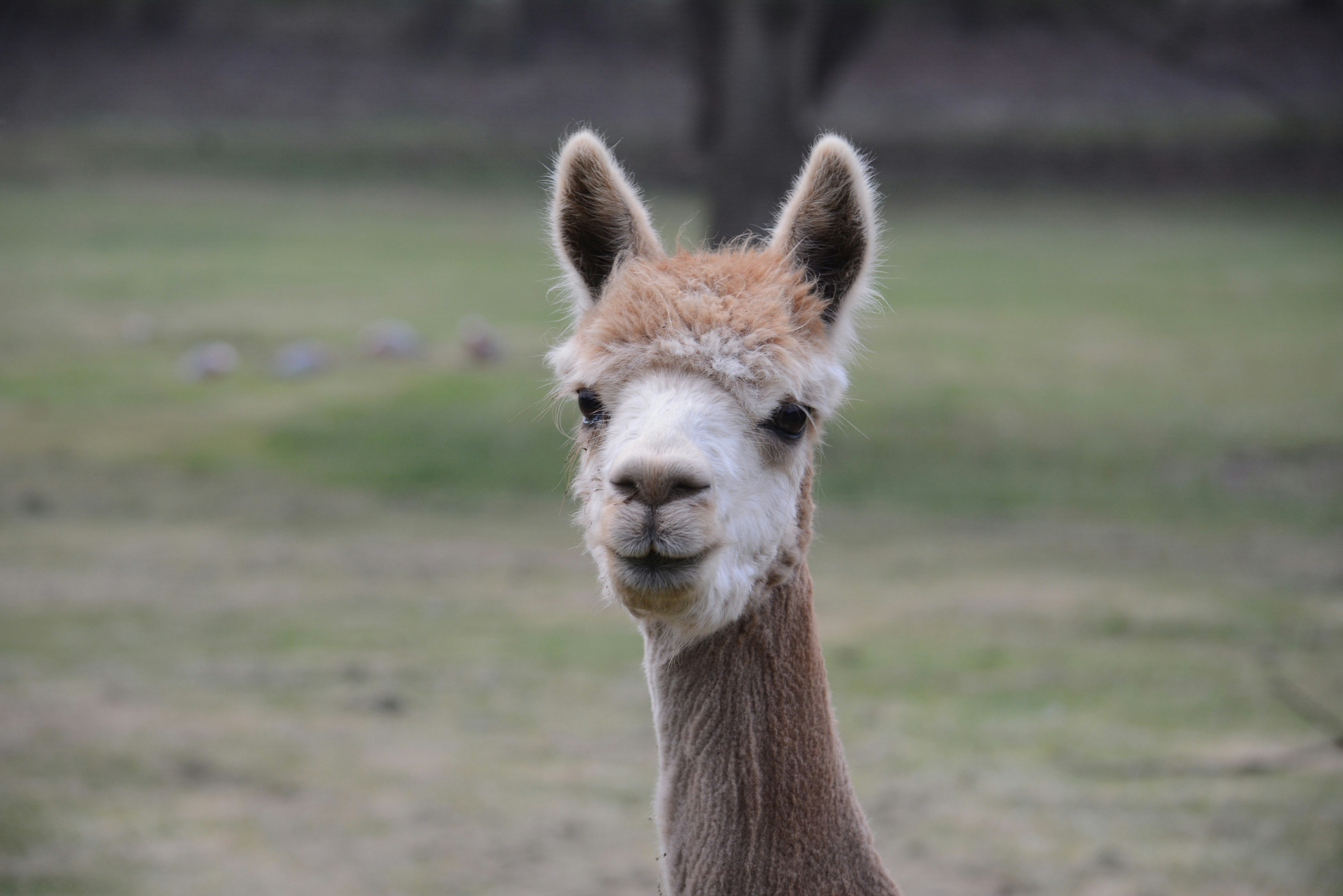 Photo by richard7seals