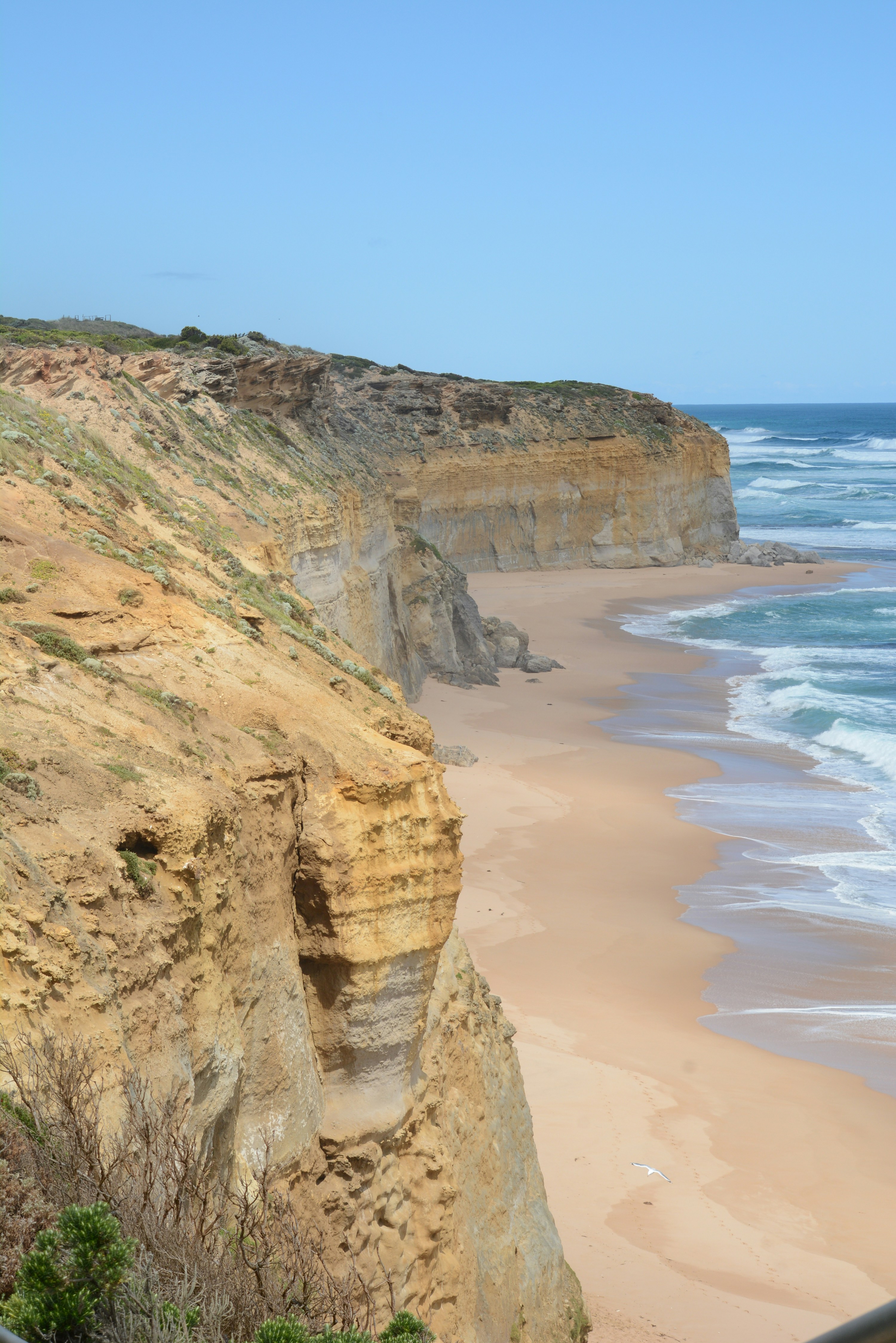 Photo by richard7seals