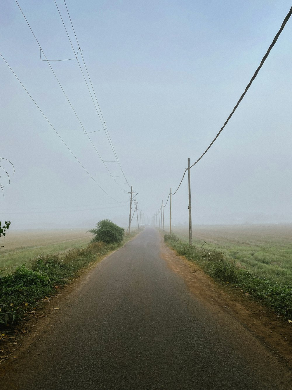 Una carretera con líneas eléctricas laterales