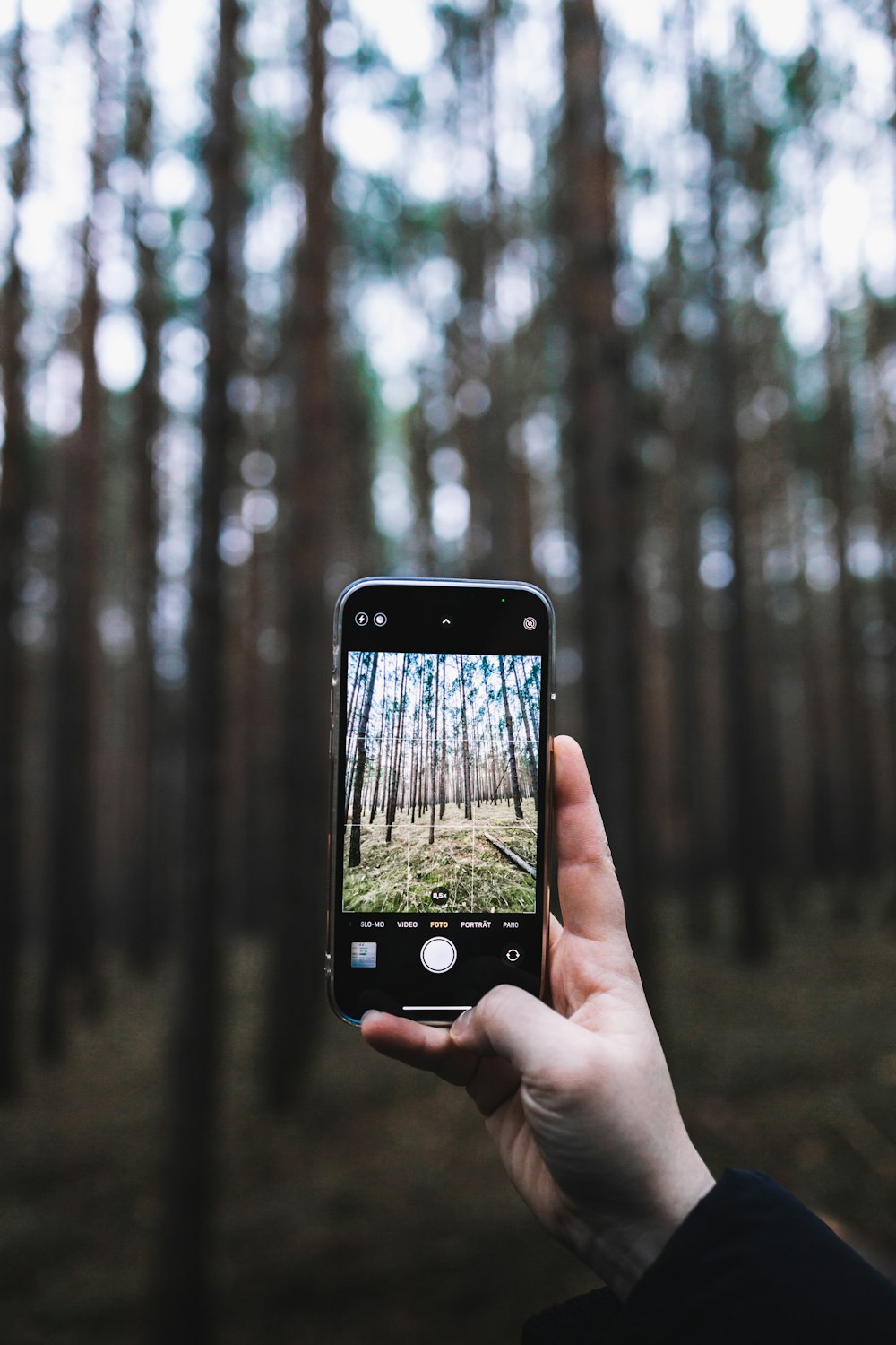 a hand holding a phone