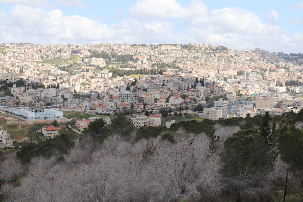 a city with many buildings