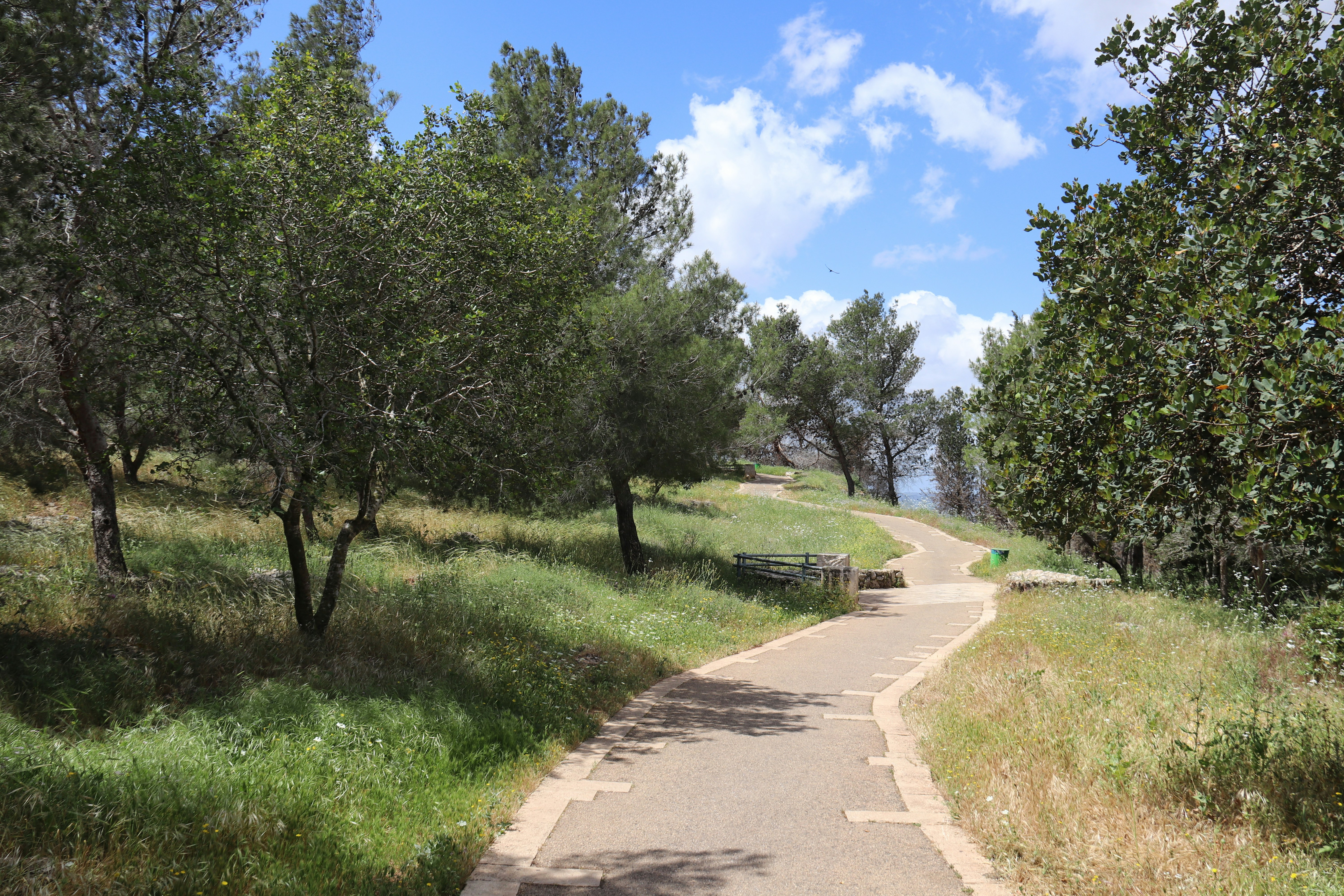 Photo by shalevcohen