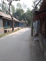 A rural street flanked by corrugated metal houses with blue pillars and sloped roofs. Trees line the road, providing shade and greenery. The street is empty, creating a calm, deserted atmosphere. Sparse vegetation and scattered debris can be seen along the edges.
