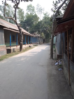 A rural street flanked by corrugated metal houses with blue pillars and sloped roofs. Trees line the road, providing shade and greenery. The street is empty, creating a calm, deserted atmosphere. Sparse vegetation and scattered debris can be seen along the edges.