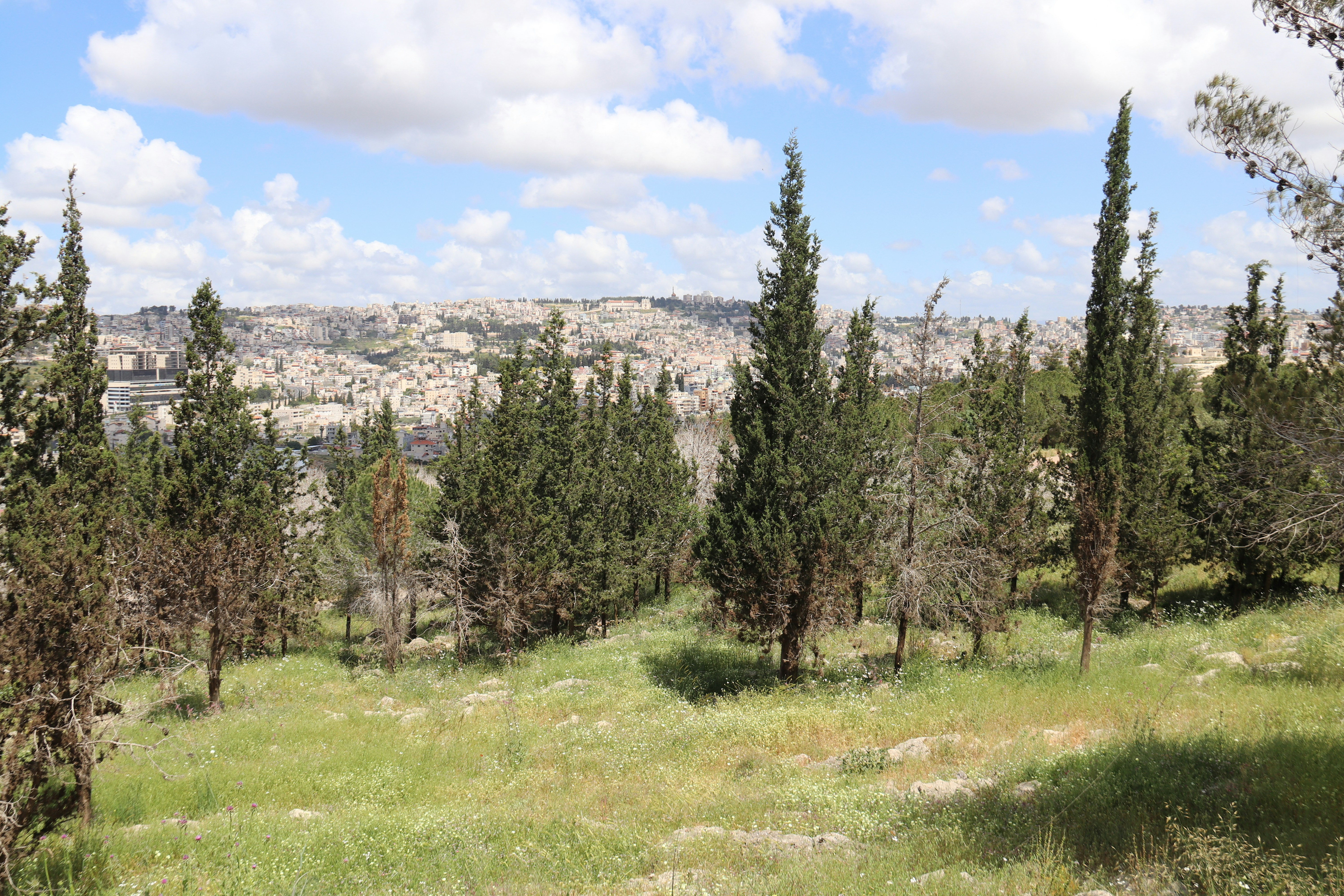 Nazareth – Budgeting & Cost Expectations