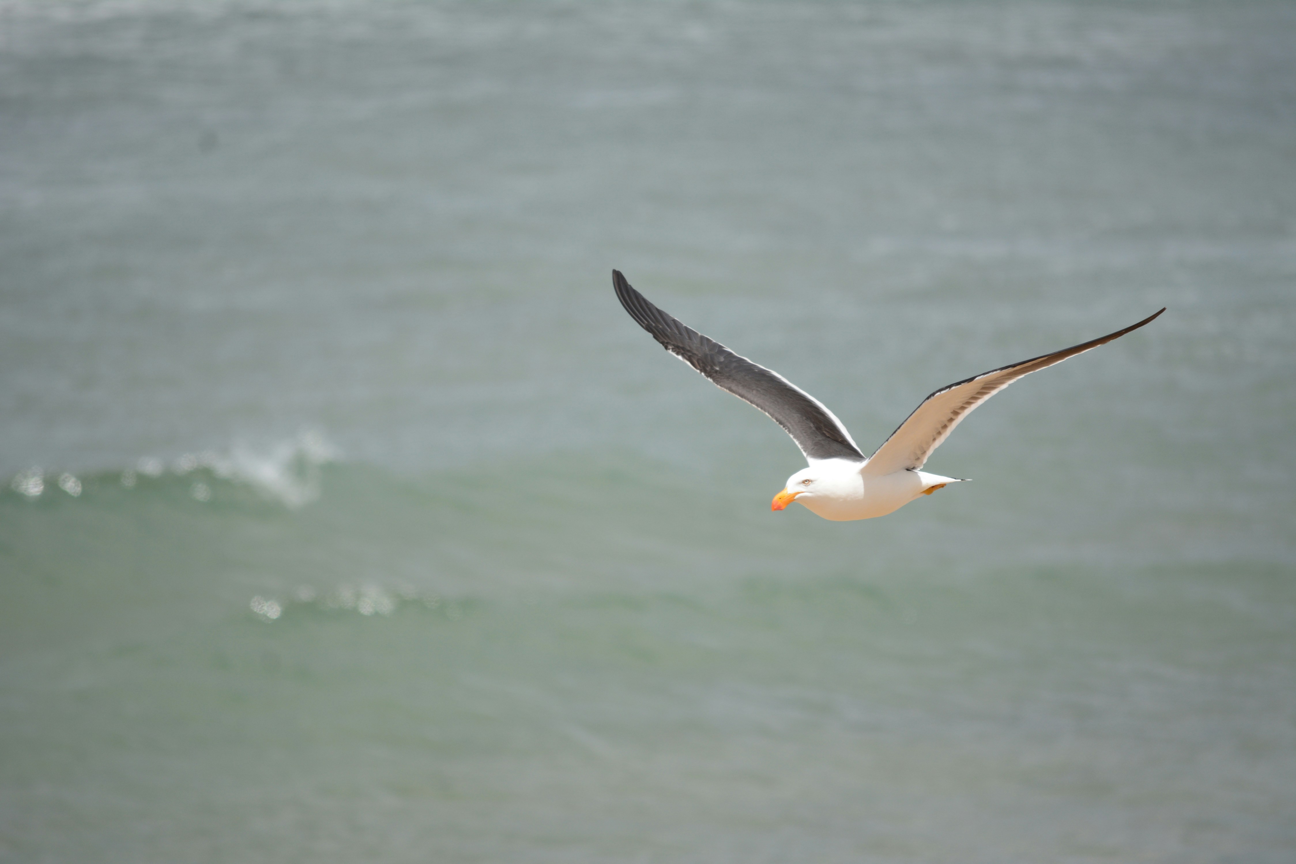 Photo by richard7seals