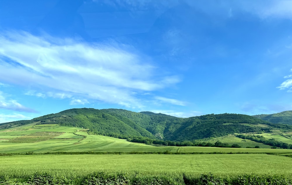 a green hilly landscape