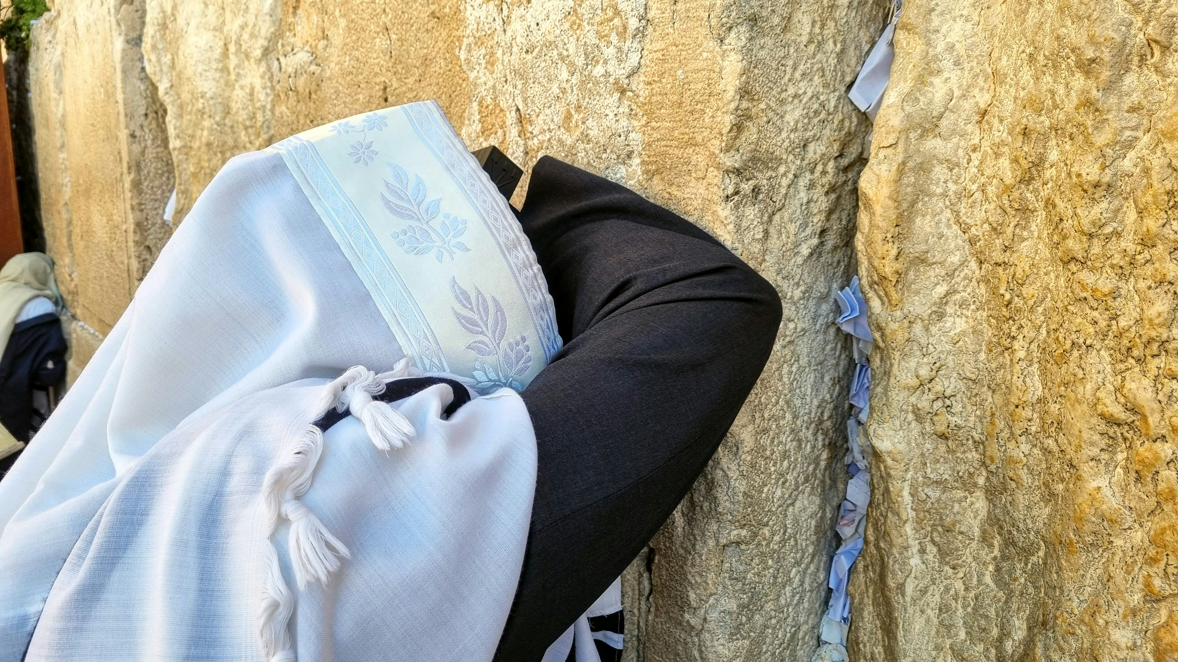 הקיר המערבי