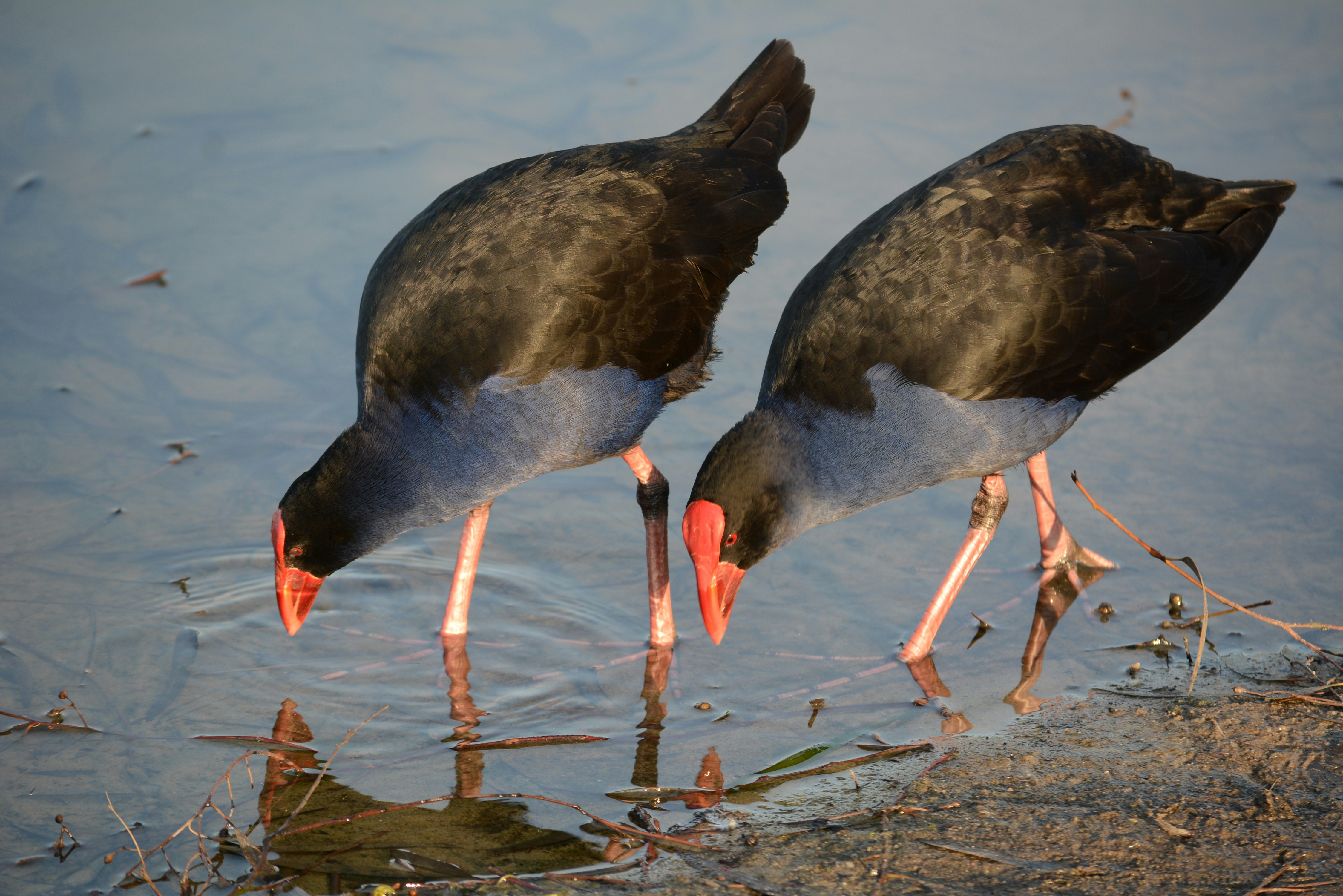 Photo by richard7seals