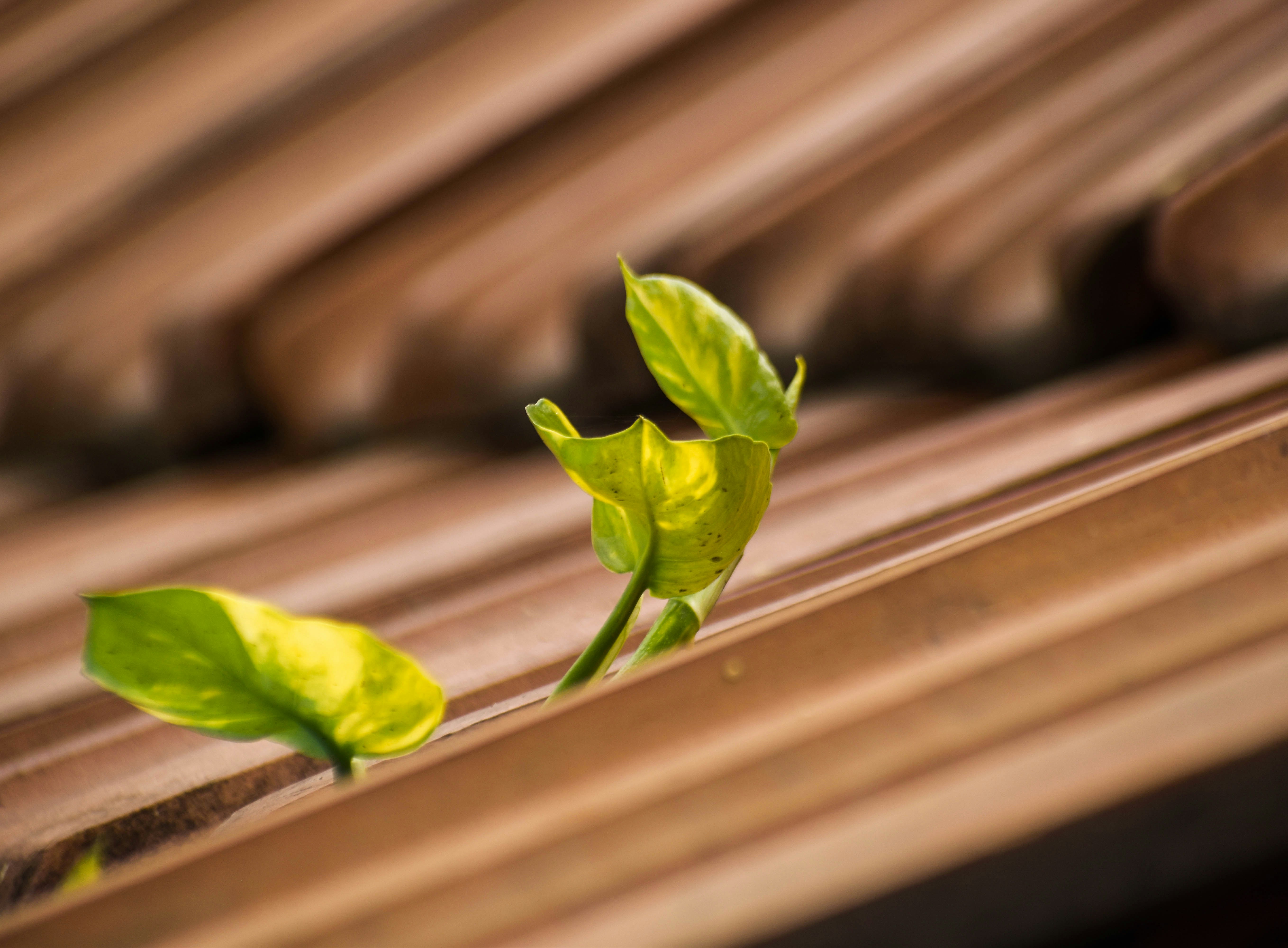 nderstanding the needs and concerns of your stakeholders, you can tailor your offerings and communic... - how to achieve sustainable business growth