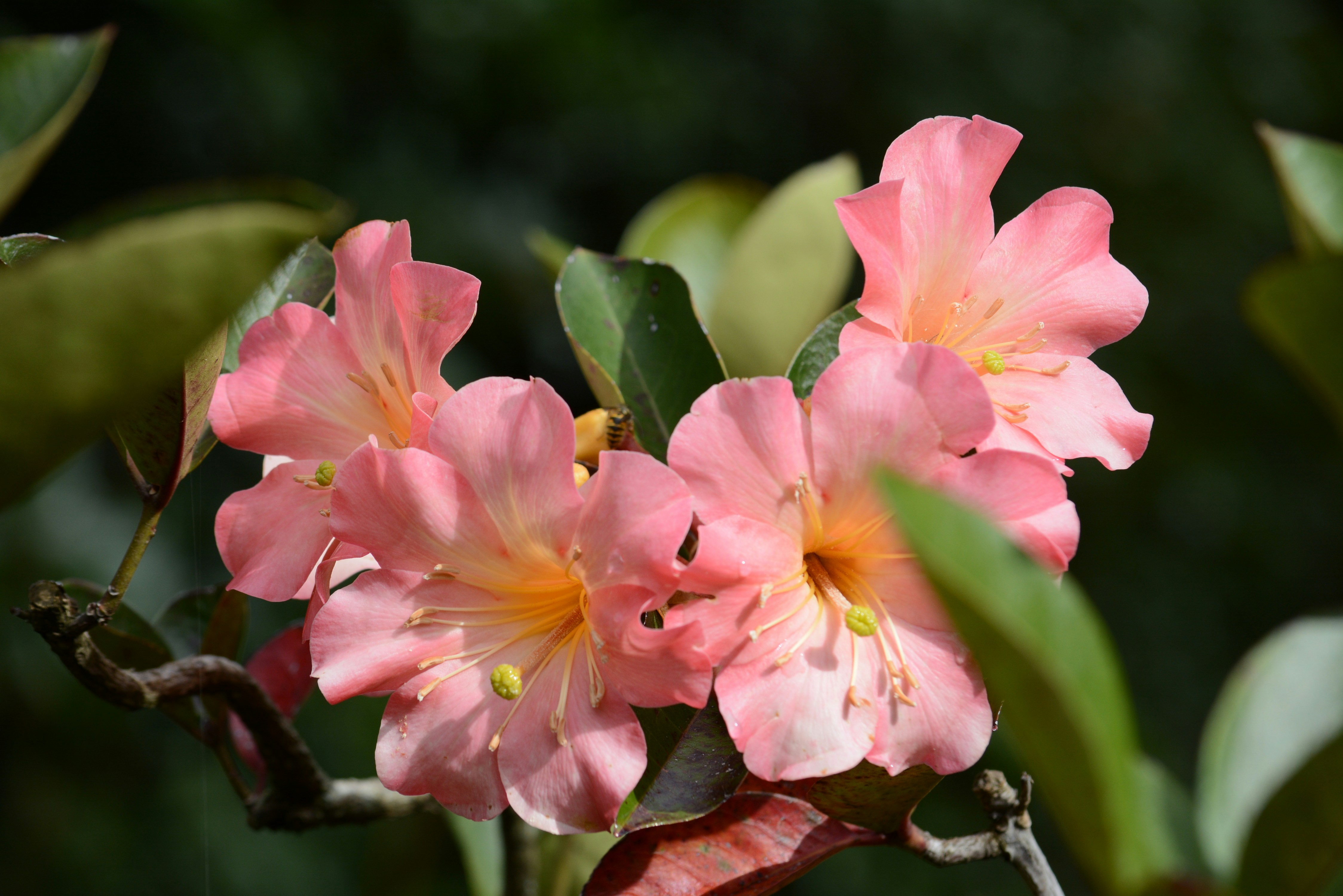 Photo by richard7seals