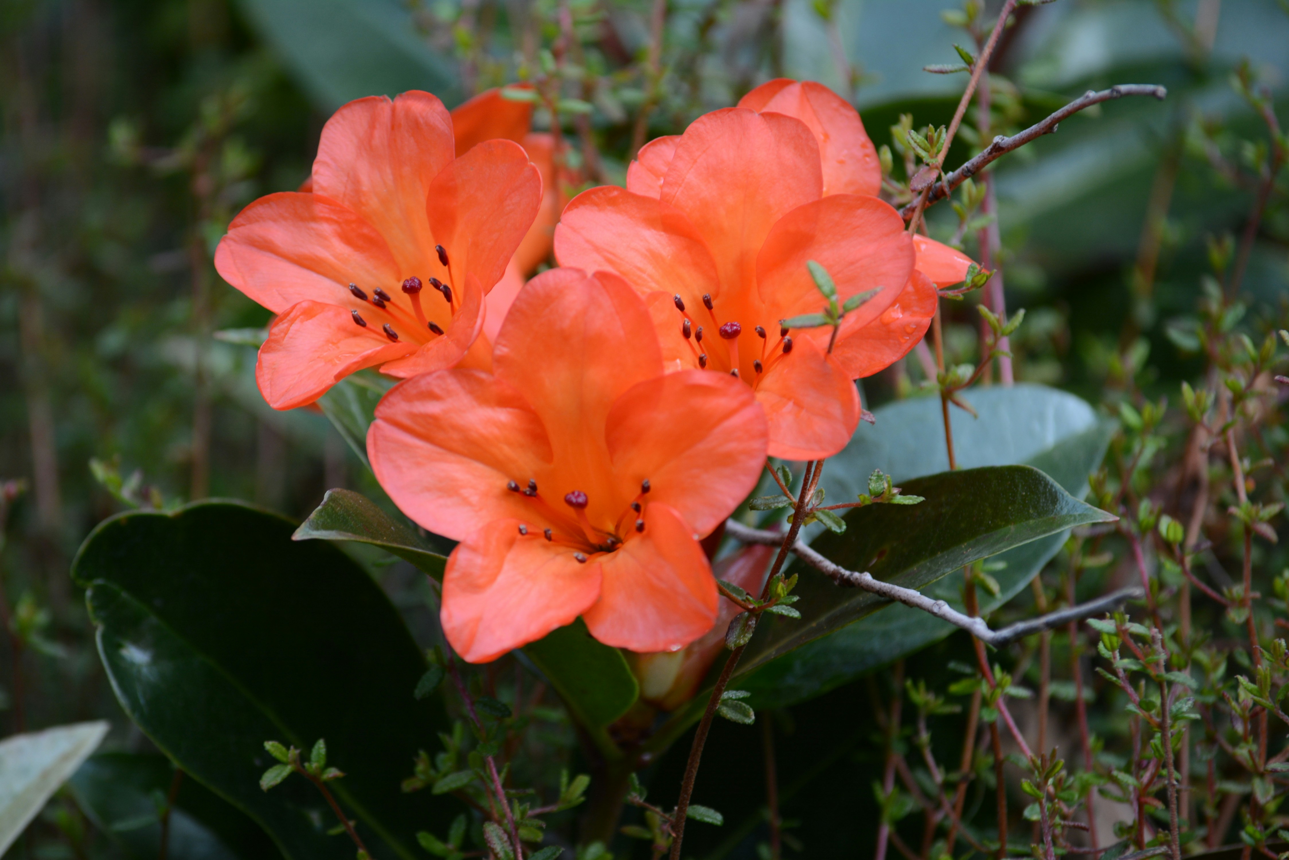 Photo by richard7seals