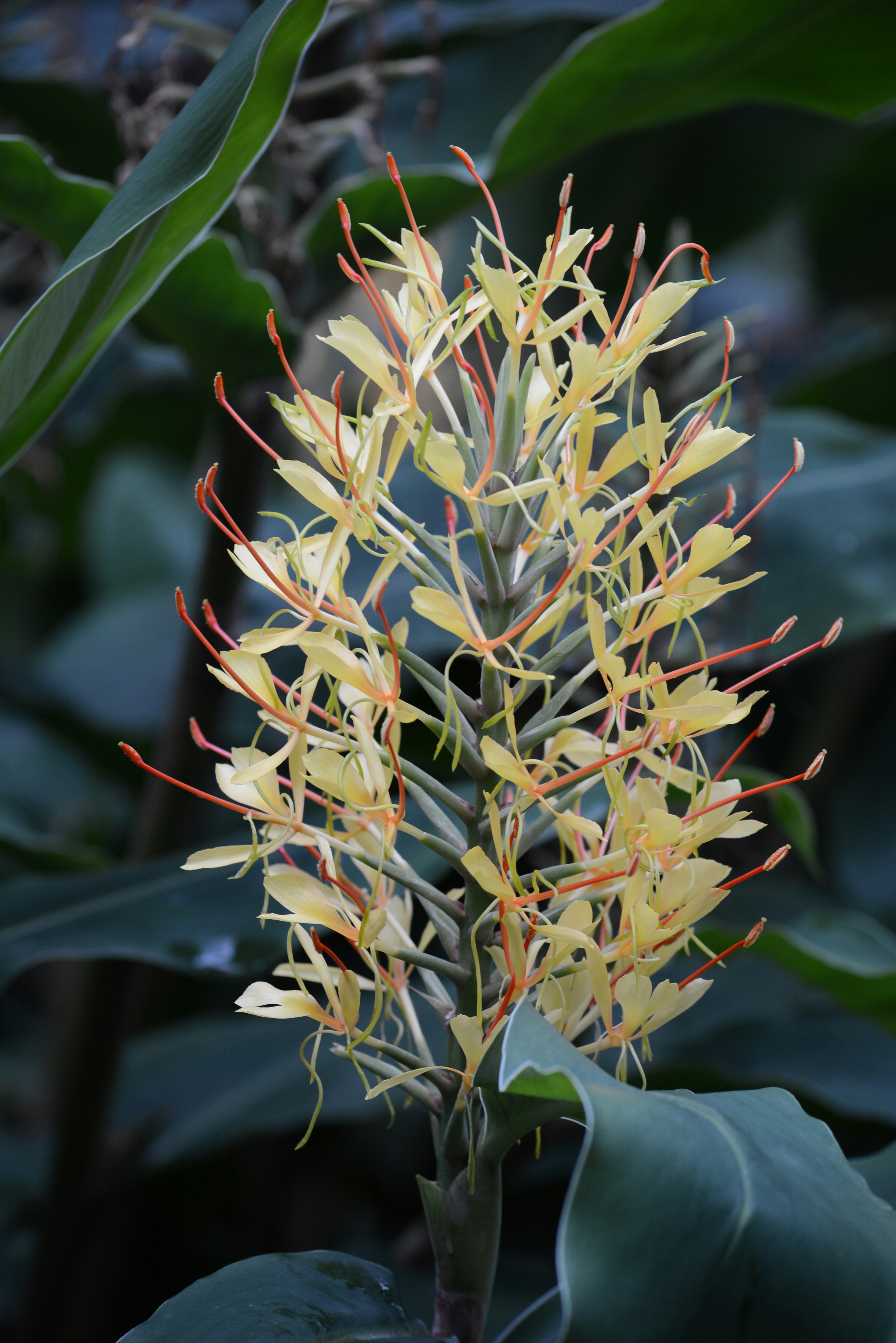 Photo by richard7seals