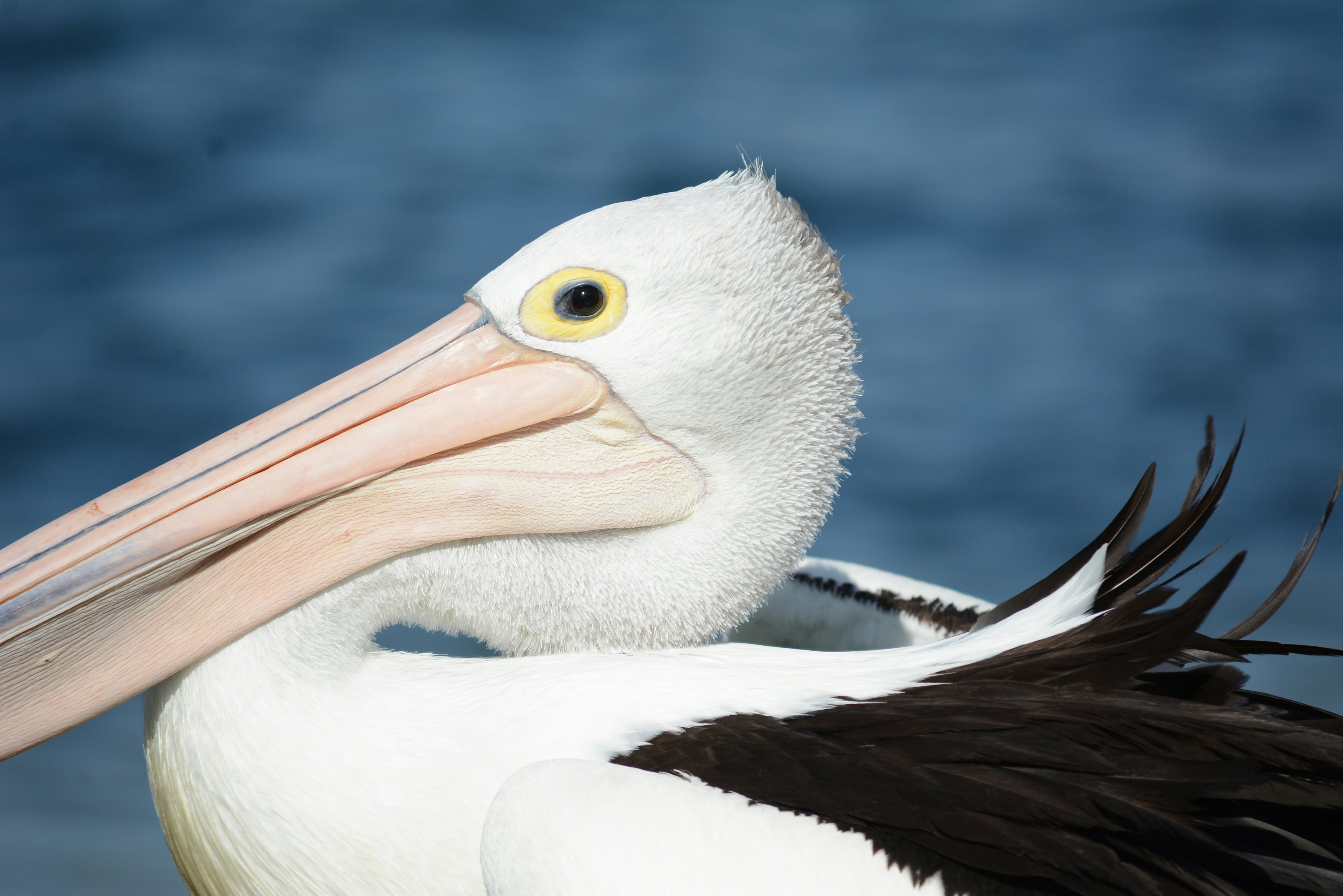 Photo by richard7seals