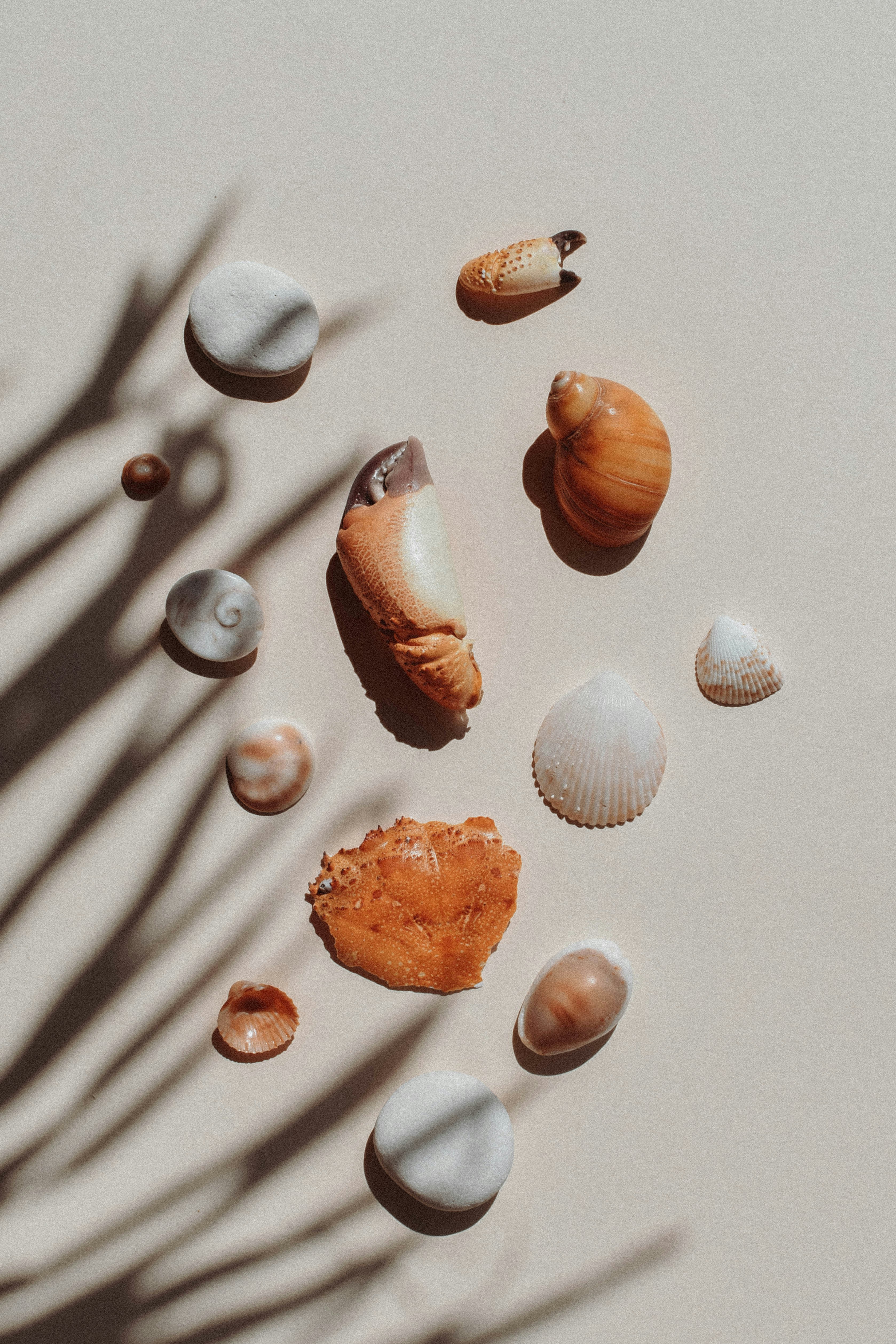 Photo by contentpixie