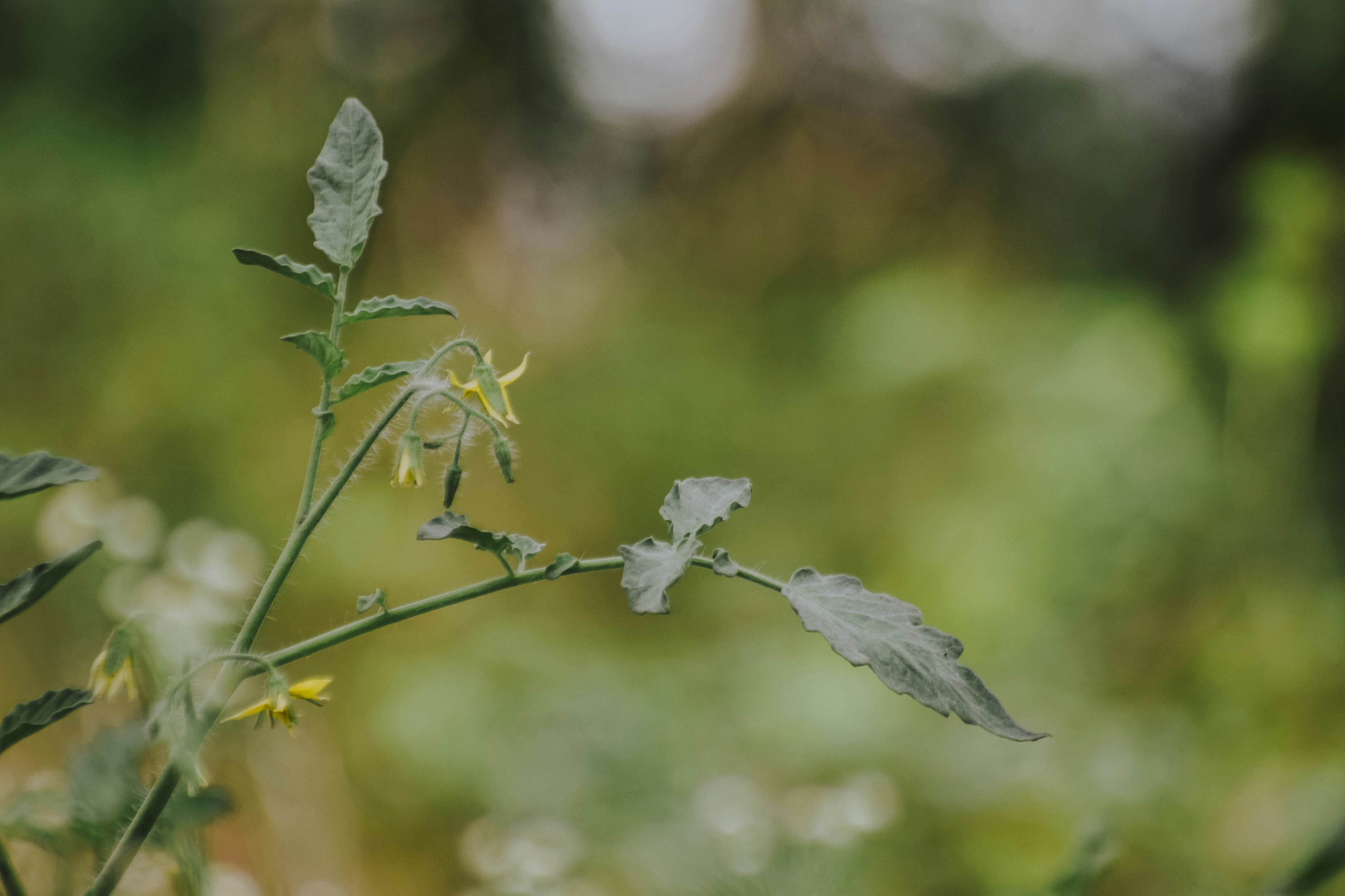 Photo by navi_photography