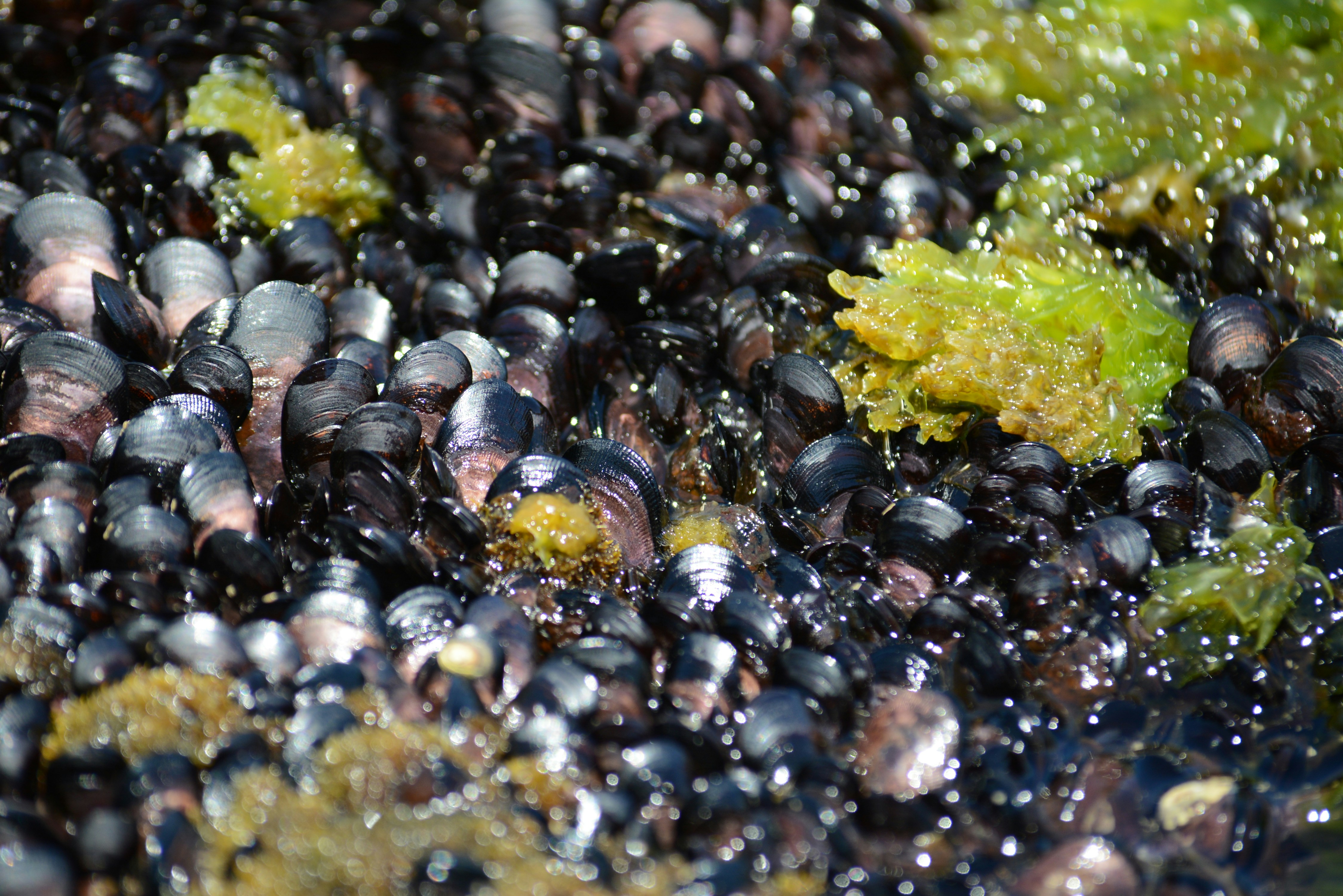 Photo by richard7seals