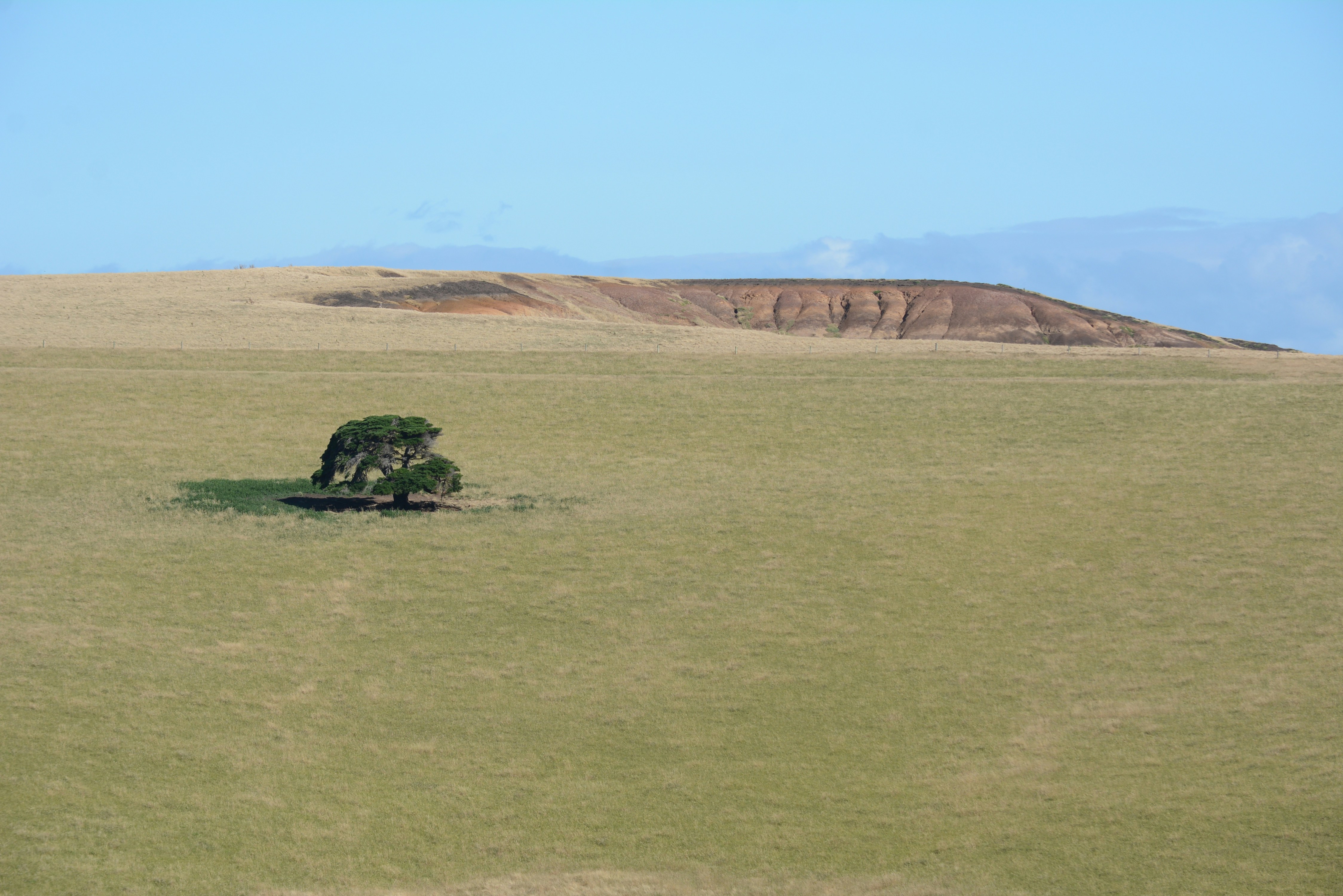 Photo by richard7seals