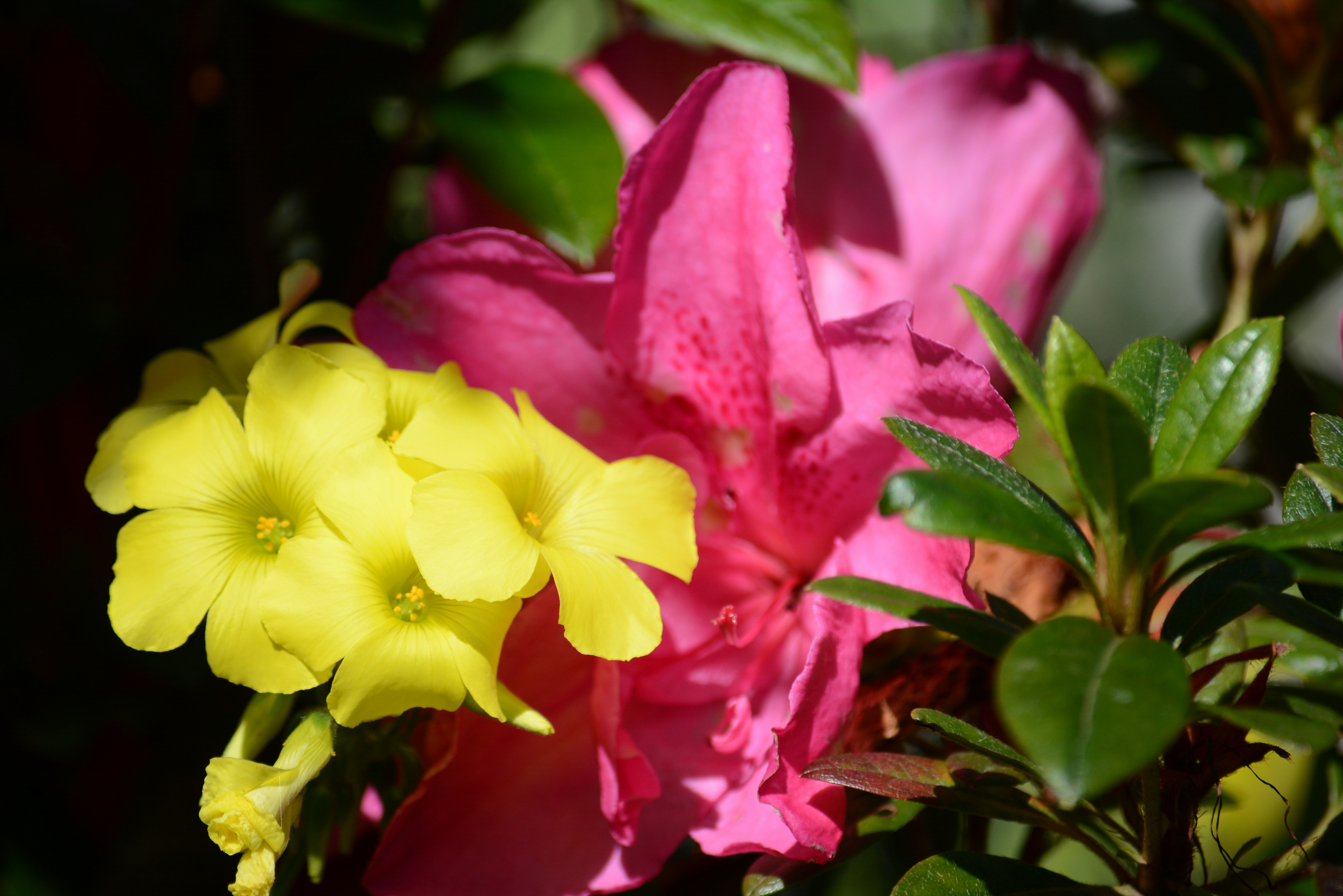 Photo by richard7seals