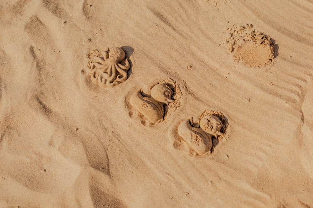 a group of footprints in the sand