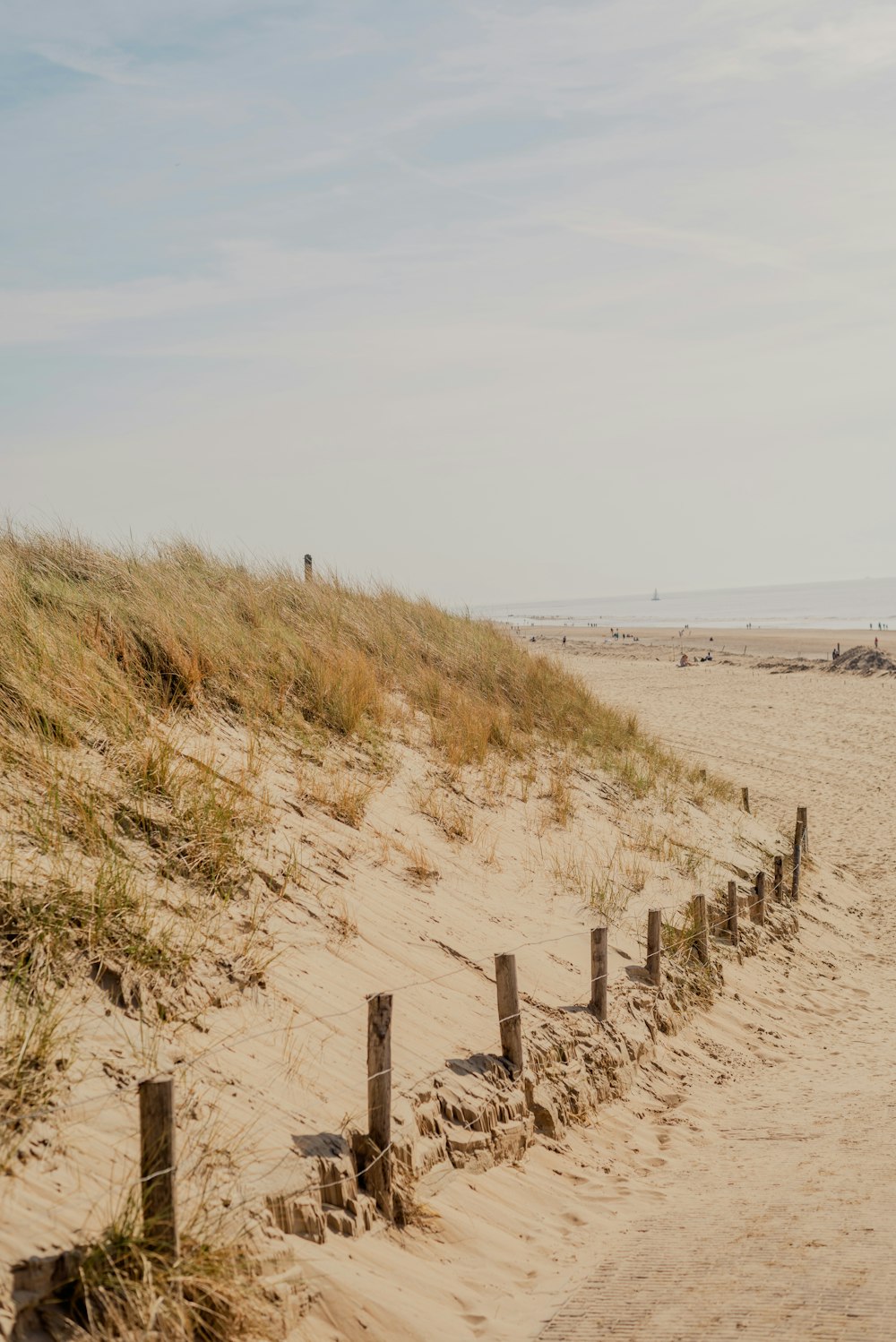 a sandy beach with a fence