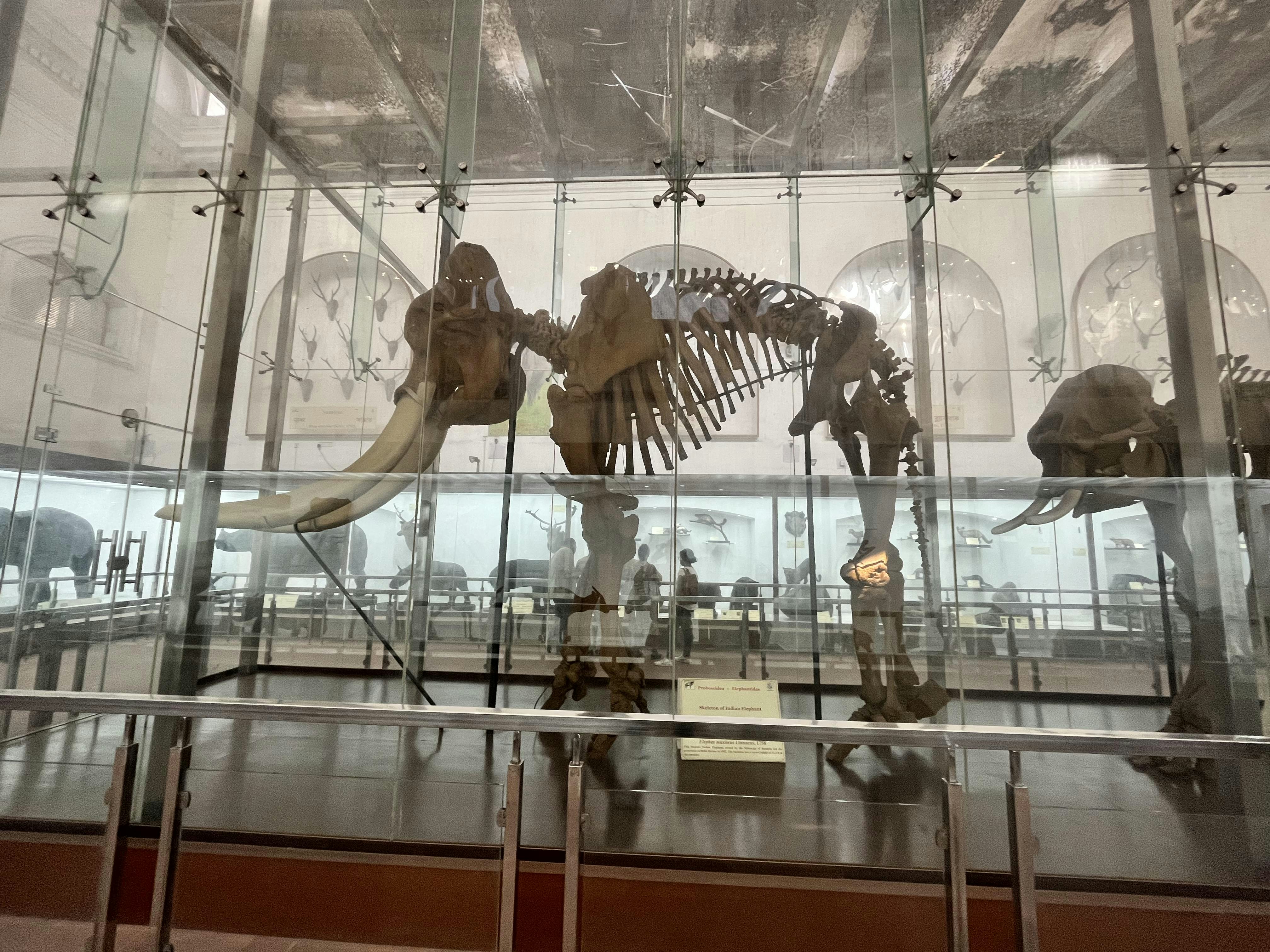 Advanced Dating Techniques Reveal Timeline (image credits: unsplash)