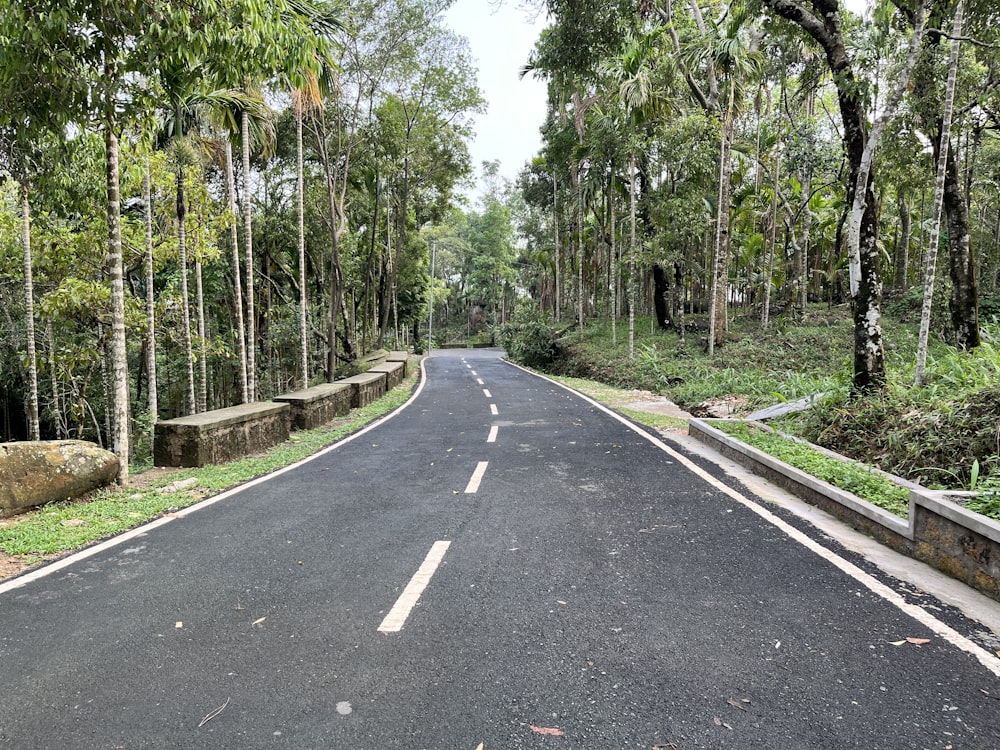 a road with trees on the side