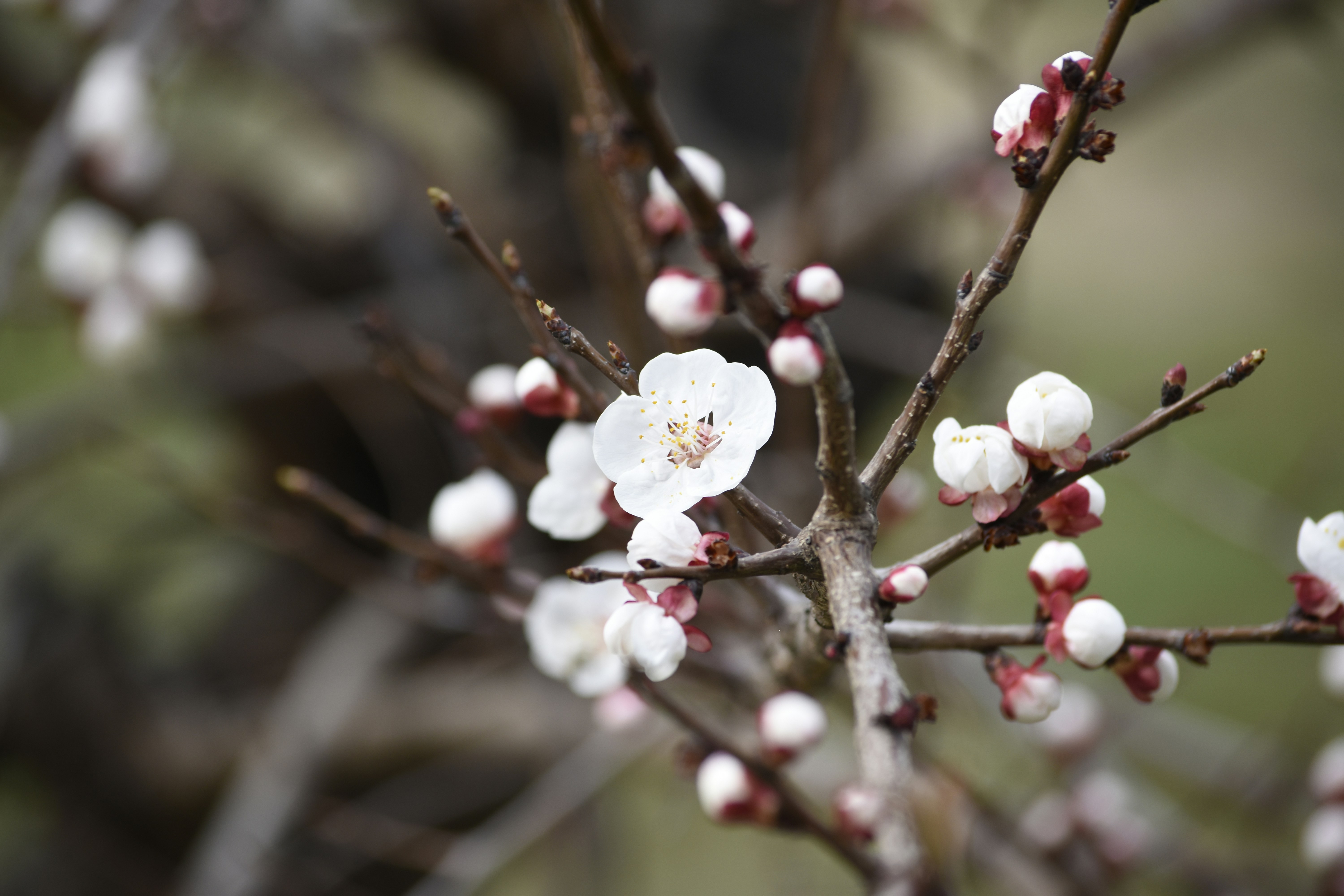 Photo by poltergeisti