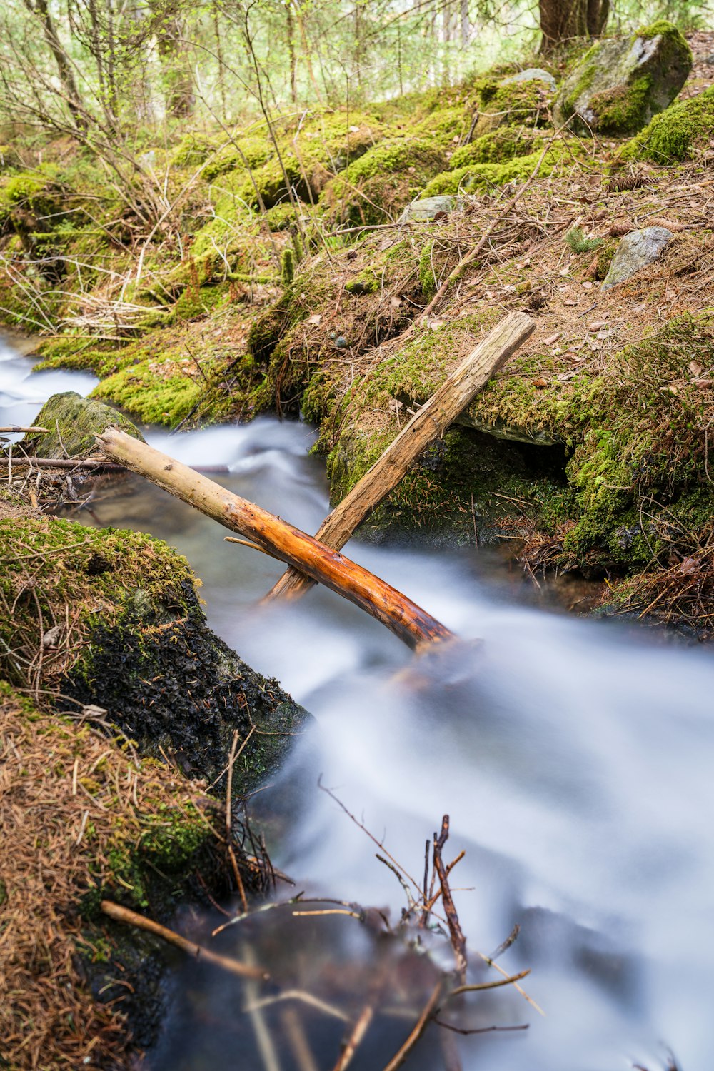 a stream with a log in the middle of it