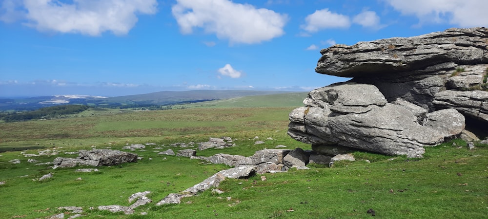 Una zona cubierta de hierba con rocas y rocas