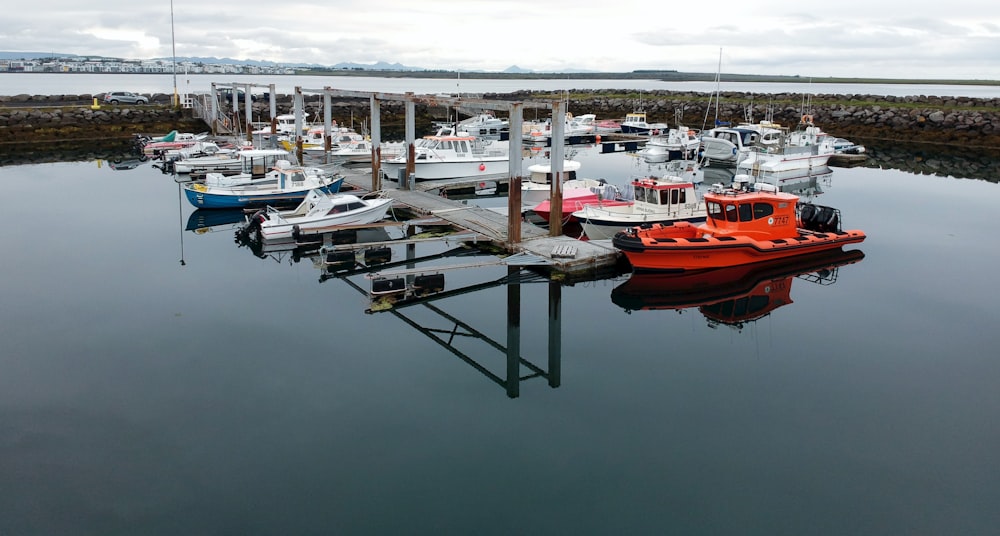 boats docked at a pier