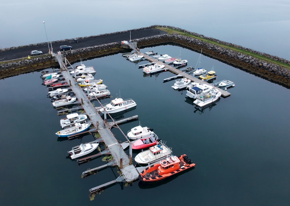 a group of boats in a harbor