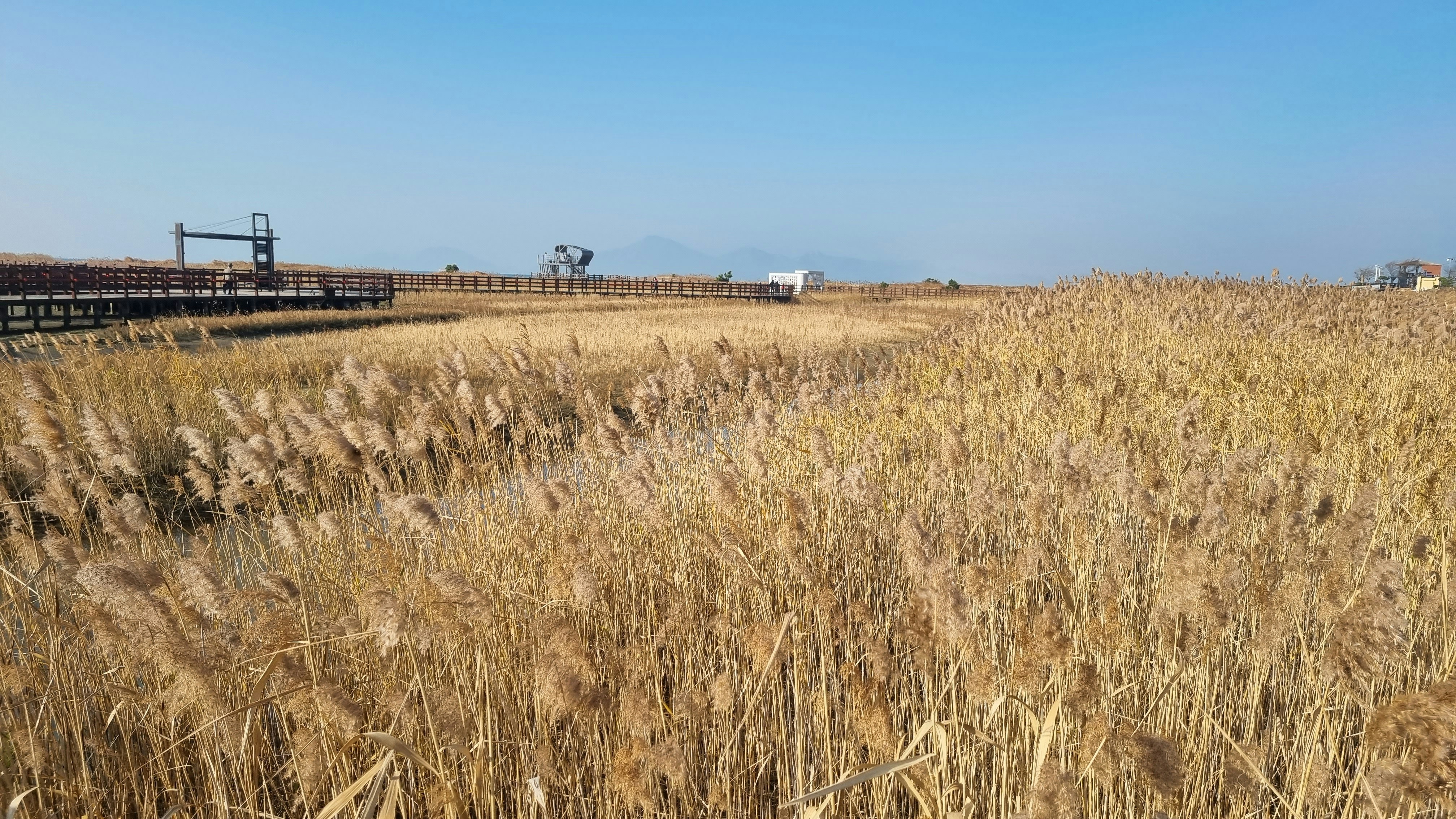 Photo by changsun_hong