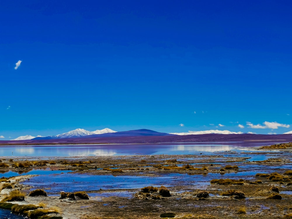 a body of water with rocks and a blue sky