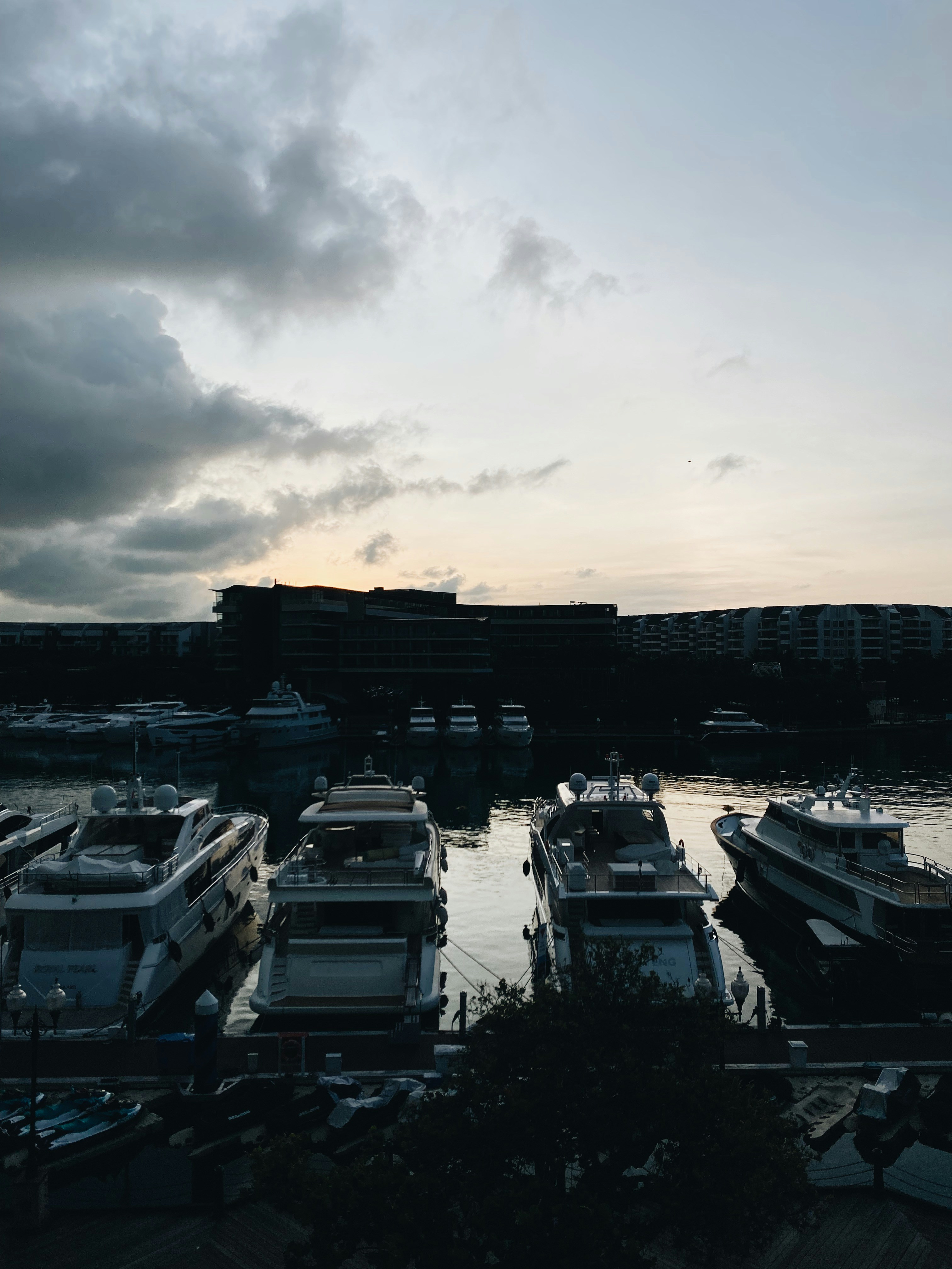 Photo by chuttersnap