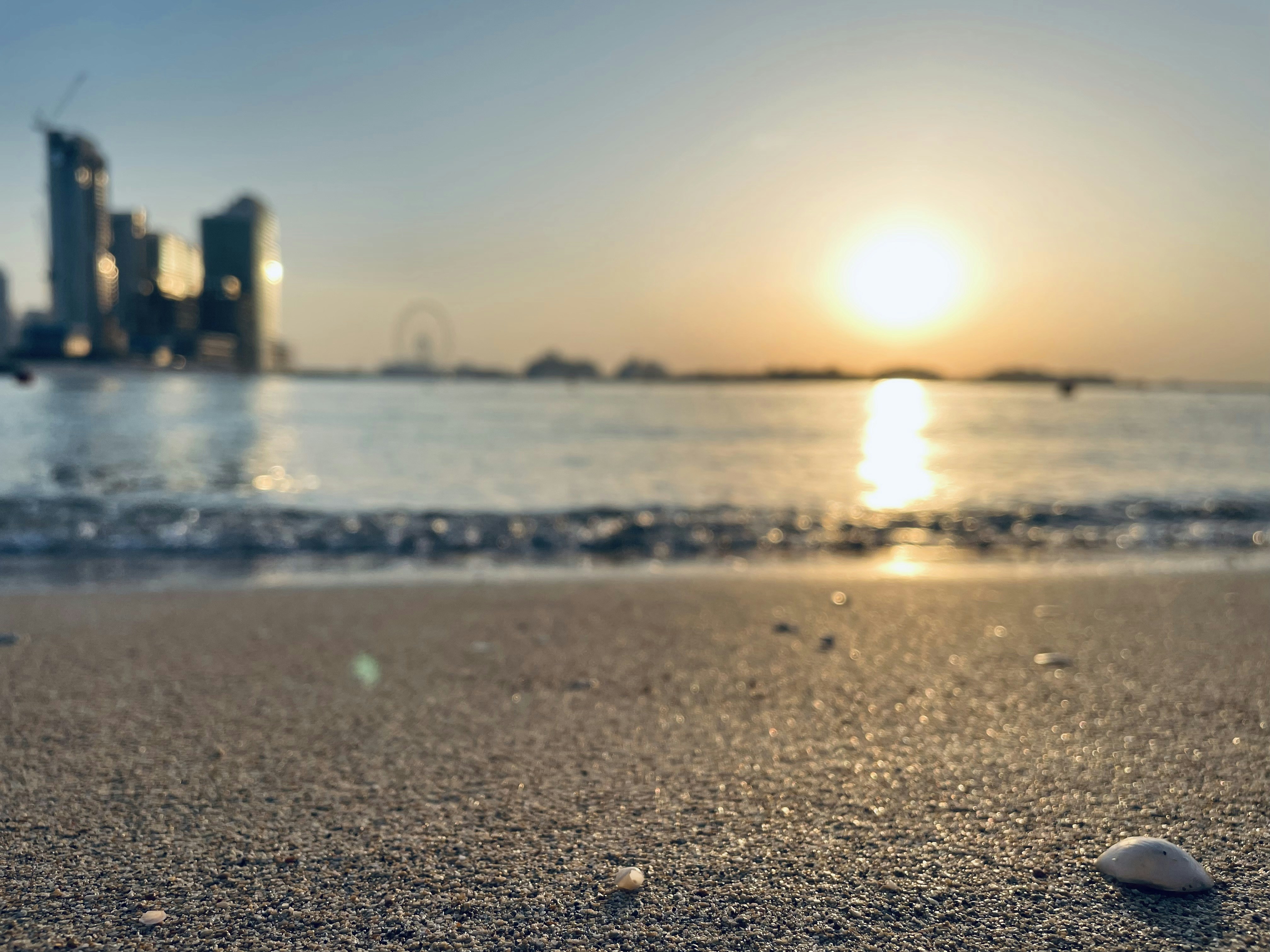 Photo by wilfre_bass